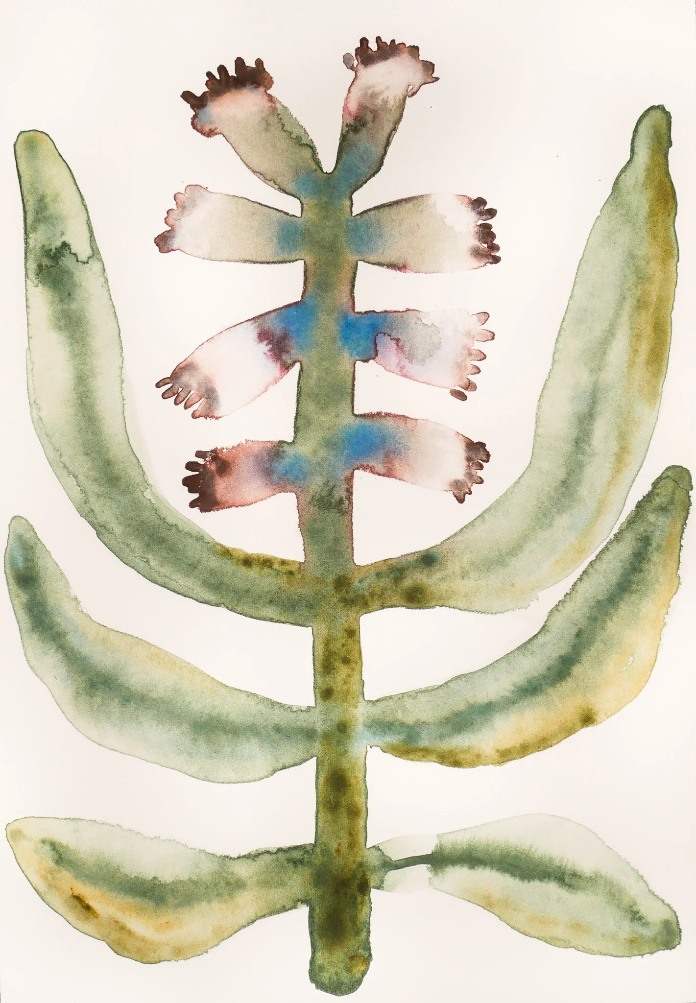 2024_Delicate_Watery Blossom.jpg