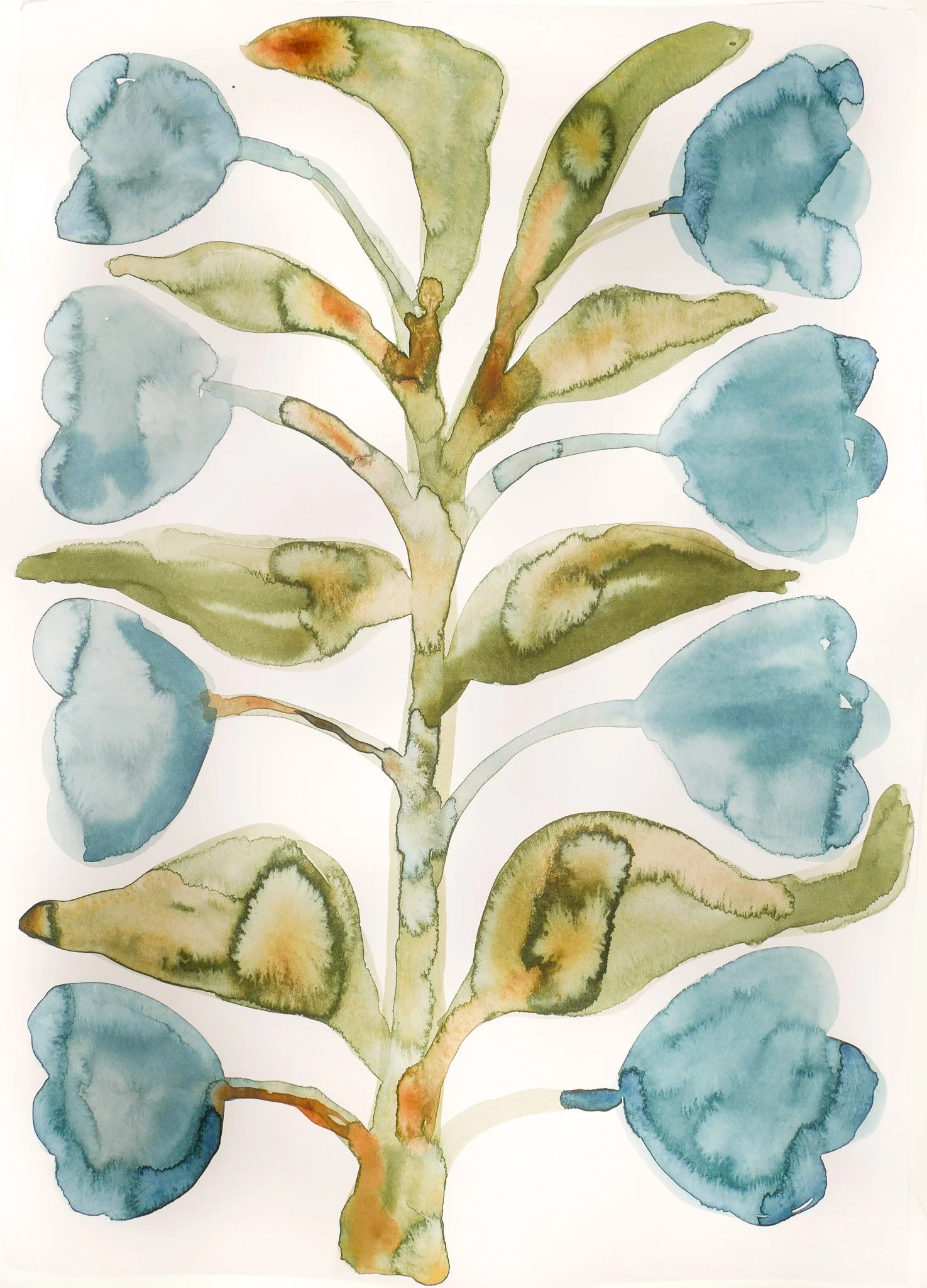 2023_Abstract Nature_Between Two Seas.jpg