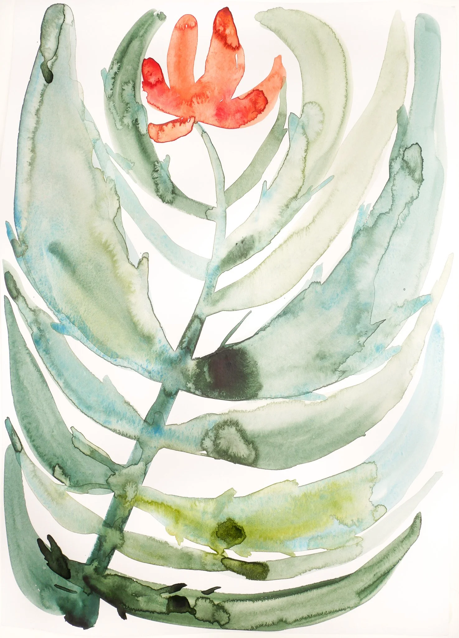 2023_Abstract Nature_Drop of Red.jpg