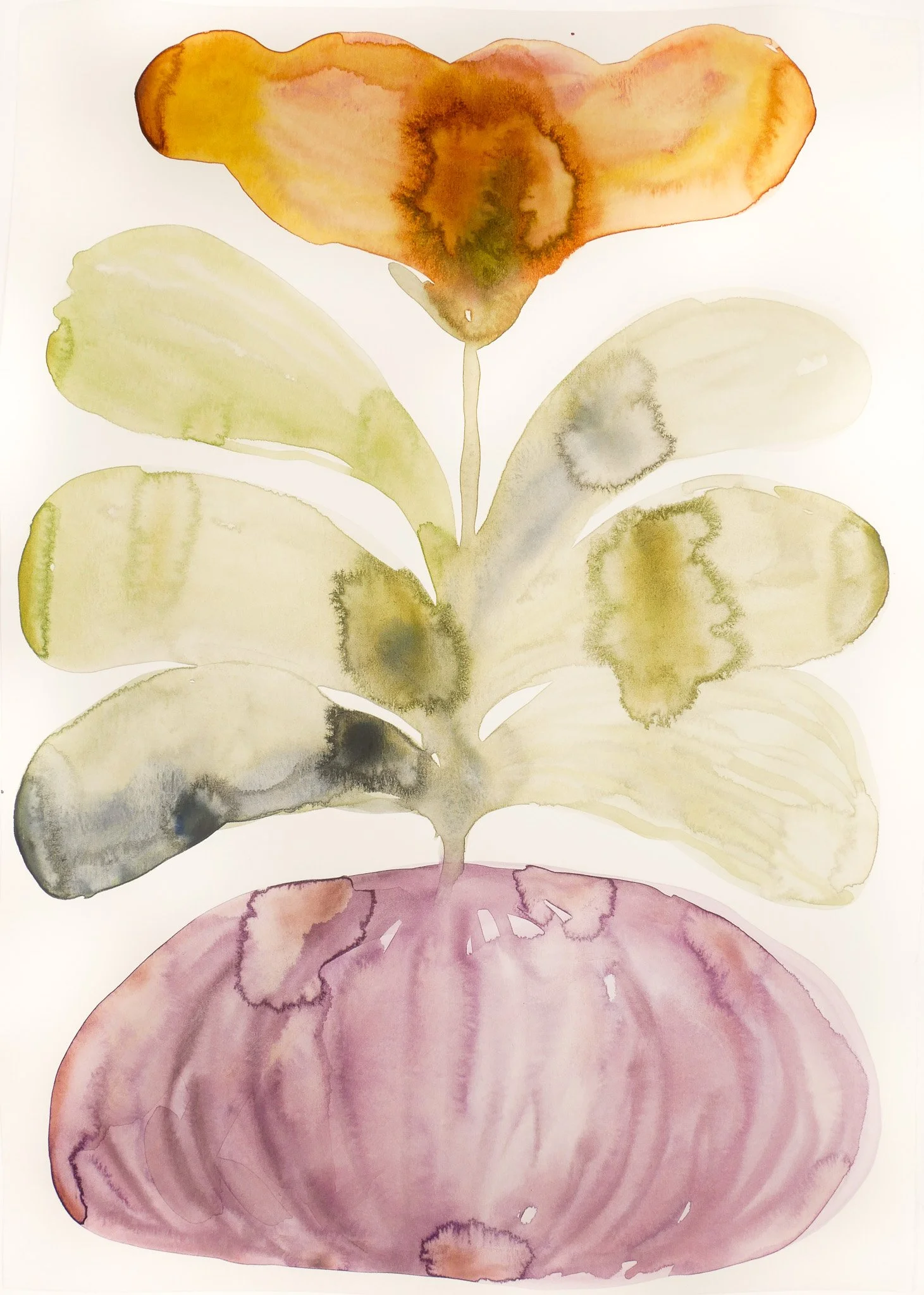 2023_Abstract Nature_II.jpg