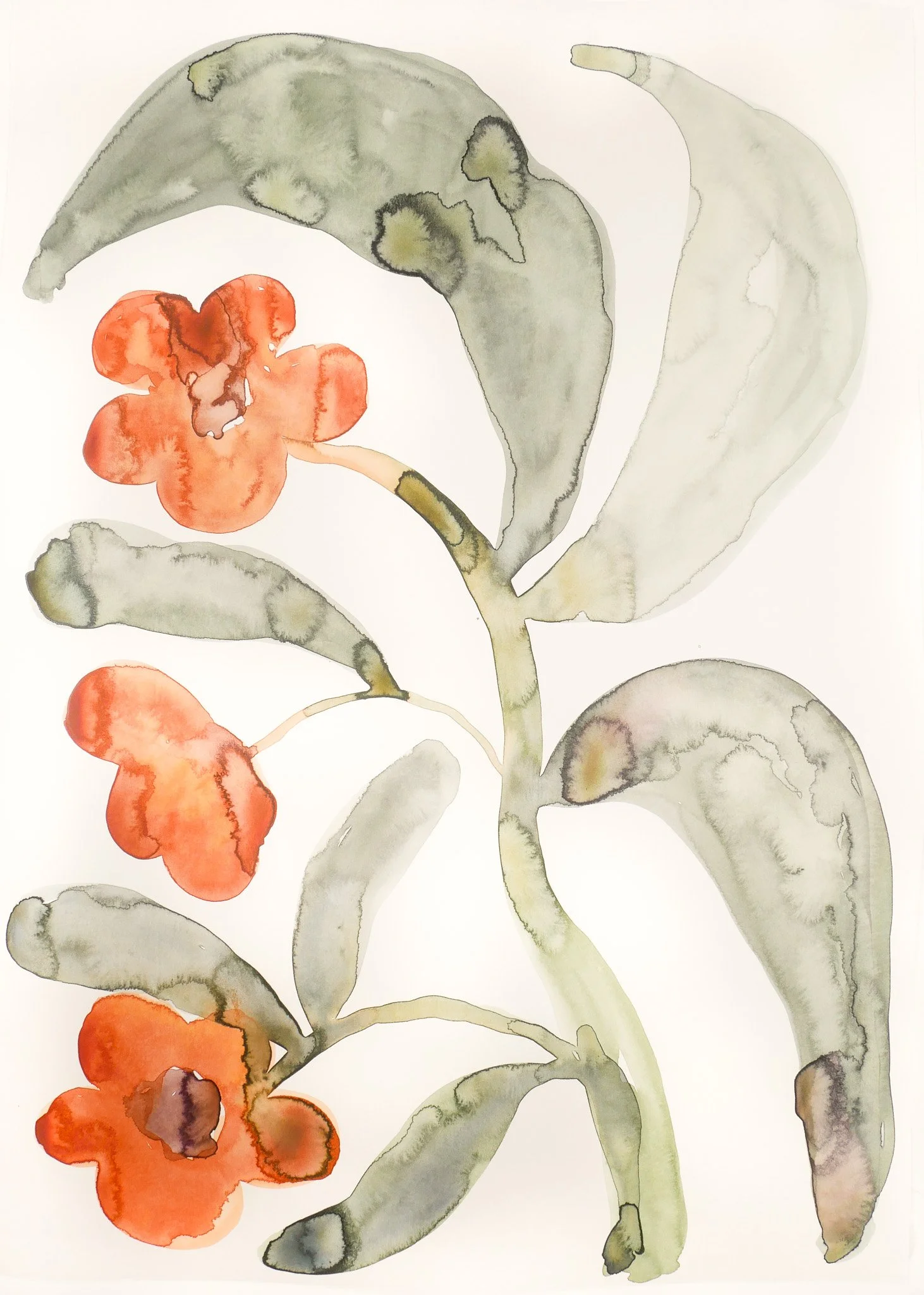 2023_Abstract Nature_IV.jpg