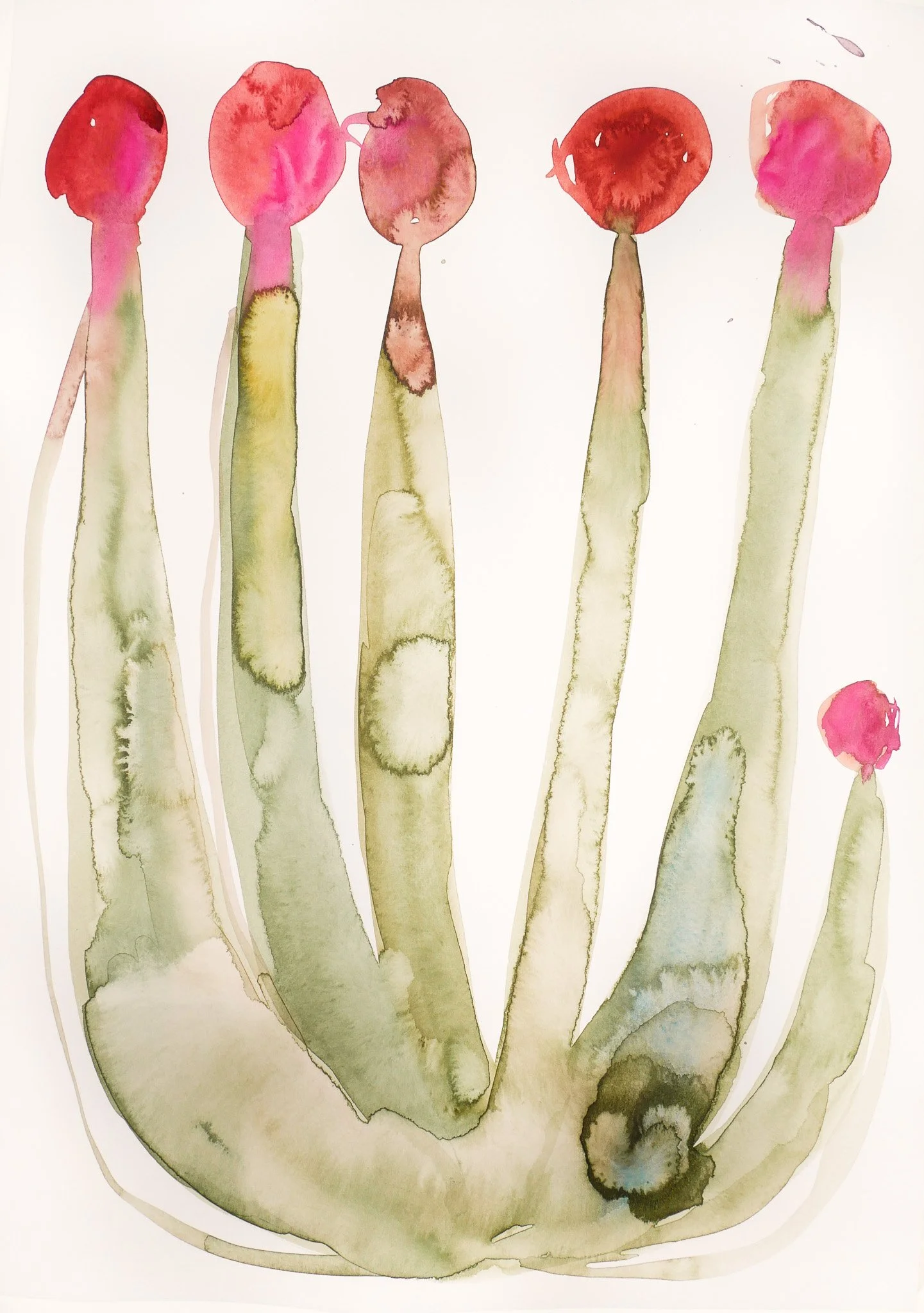 2023_Abstract Nature_Poppies.jpg