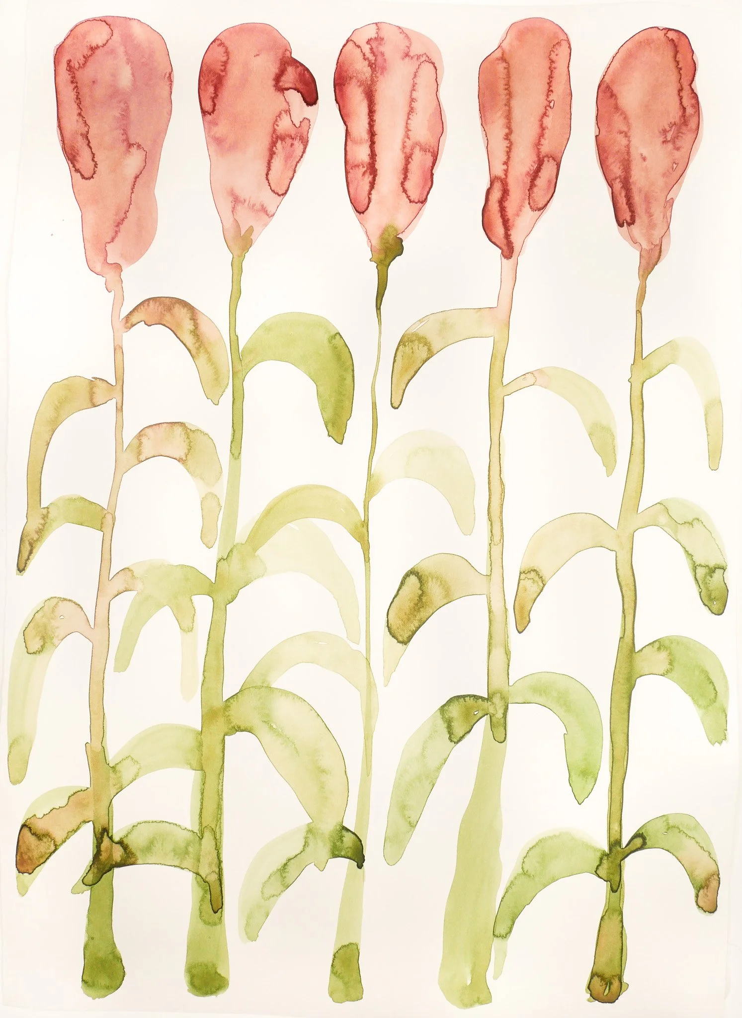 2023_Abstract Nature_Poppy Field.jpg