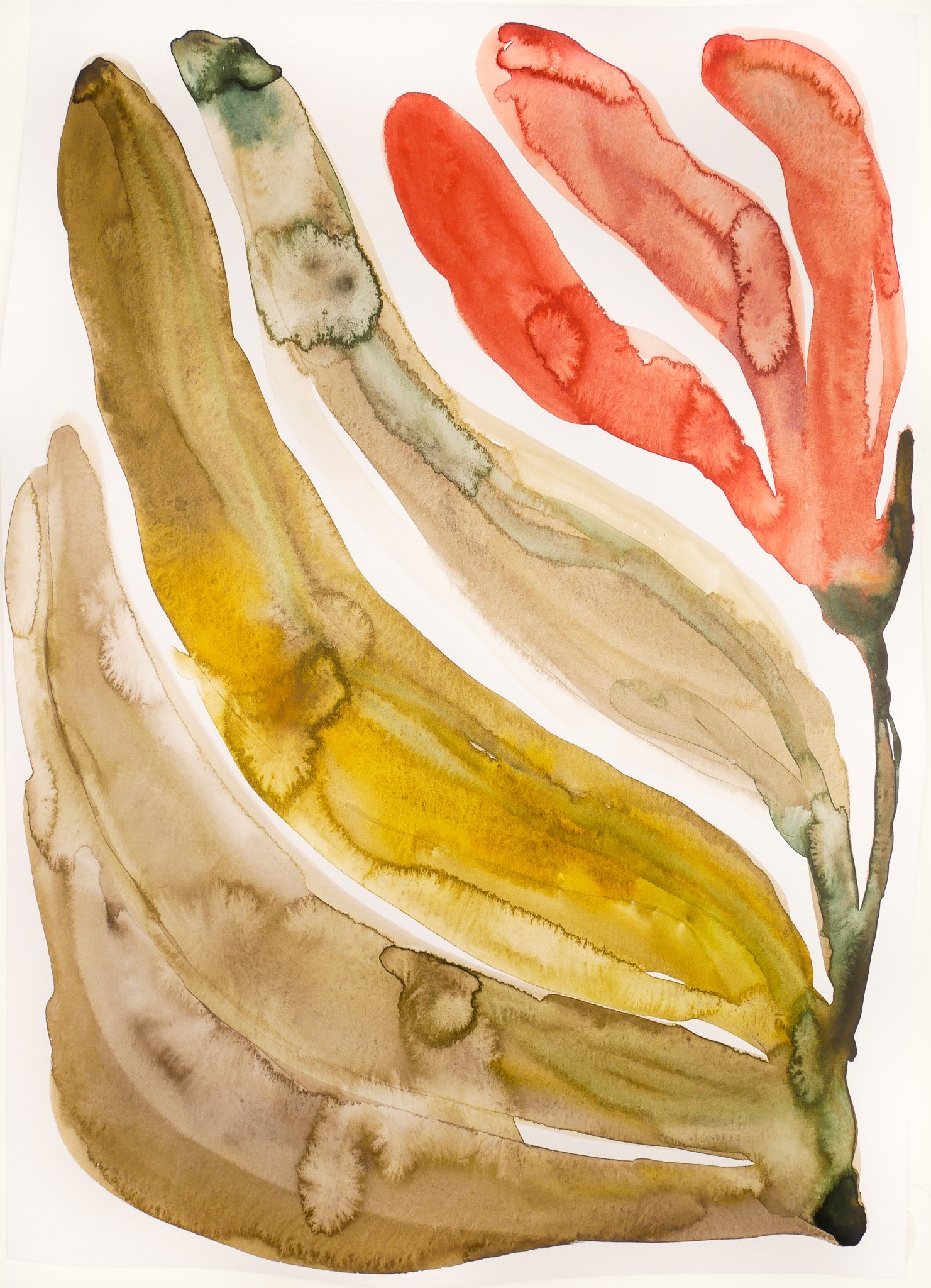 2023_Abstract Nature_Red Autumn.jpg