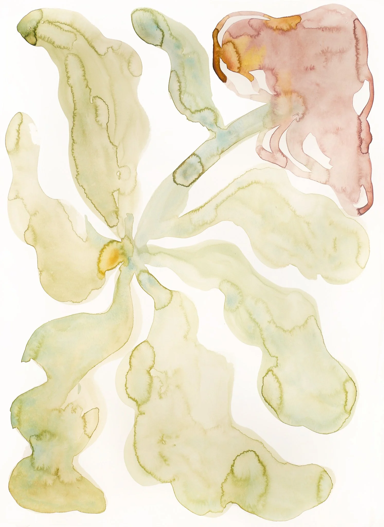 2023_Abstract Nature_Romance.jpg