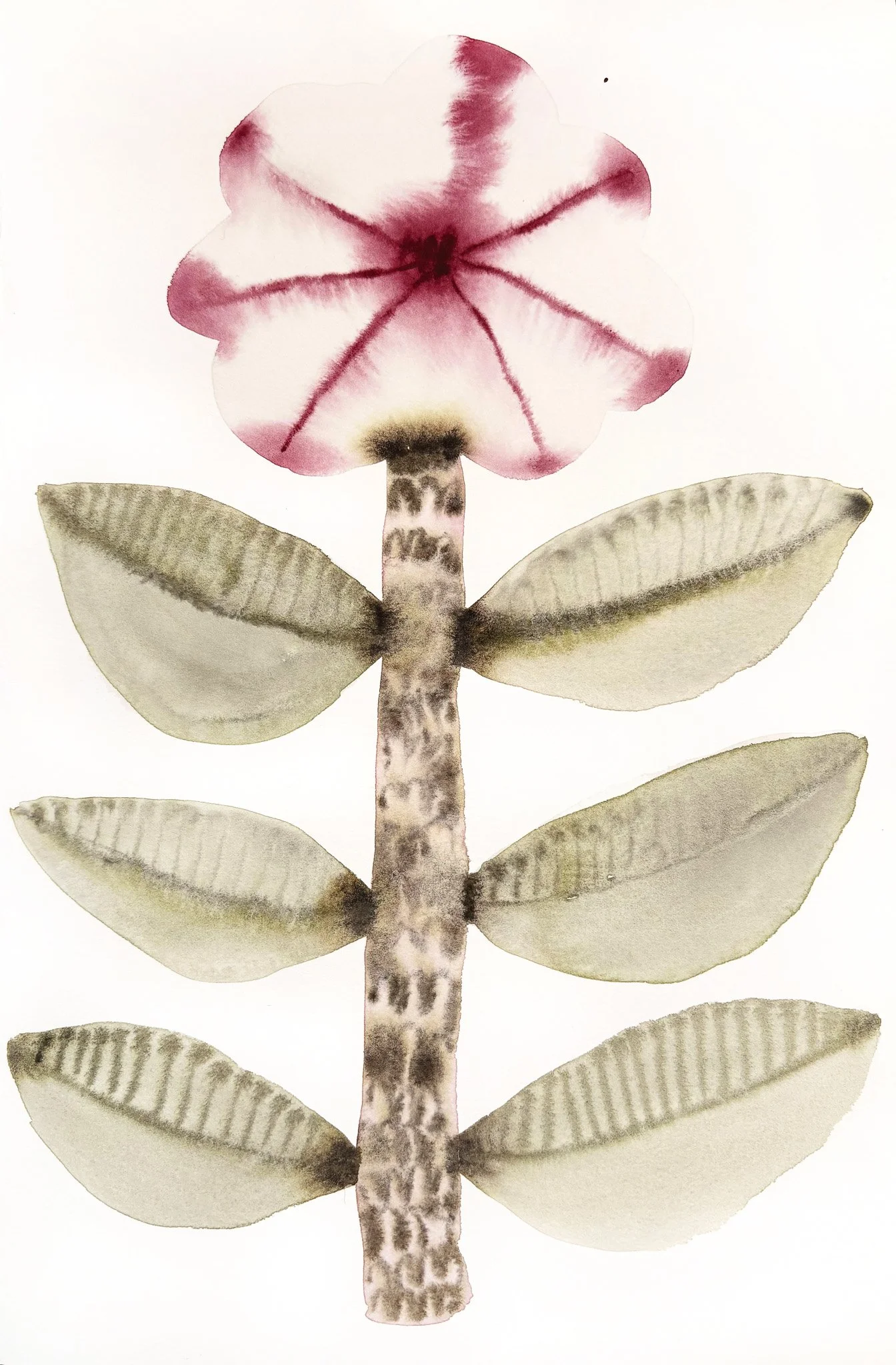 2024_Drop of Wine.jpg