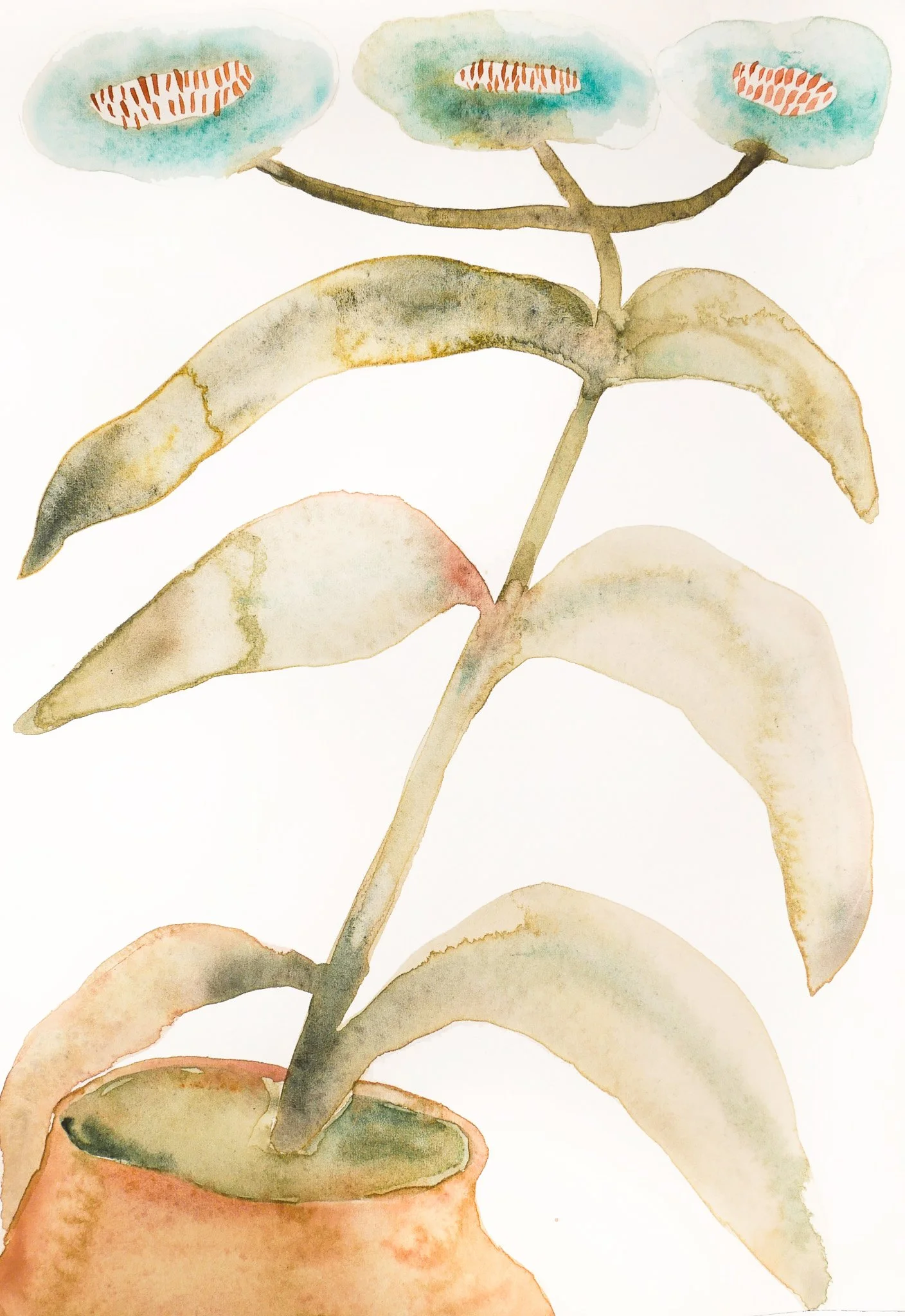Watercolor painting of a potted plant with multiple greenish and brownish leaves.