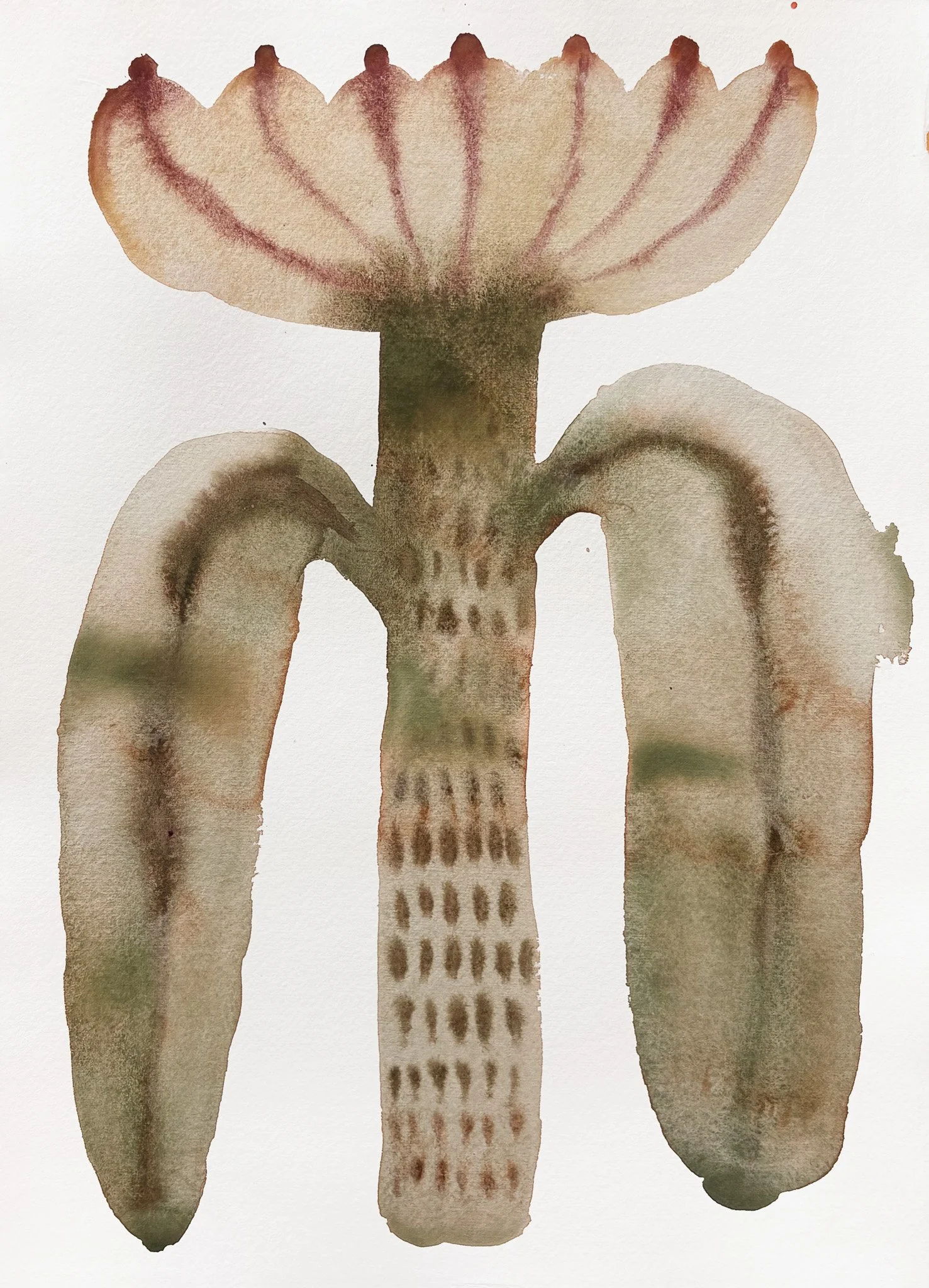 Watercolor painting of a small plant with three large leaves and a flower at the top, with textured details and muted green, brown, and pink hues.