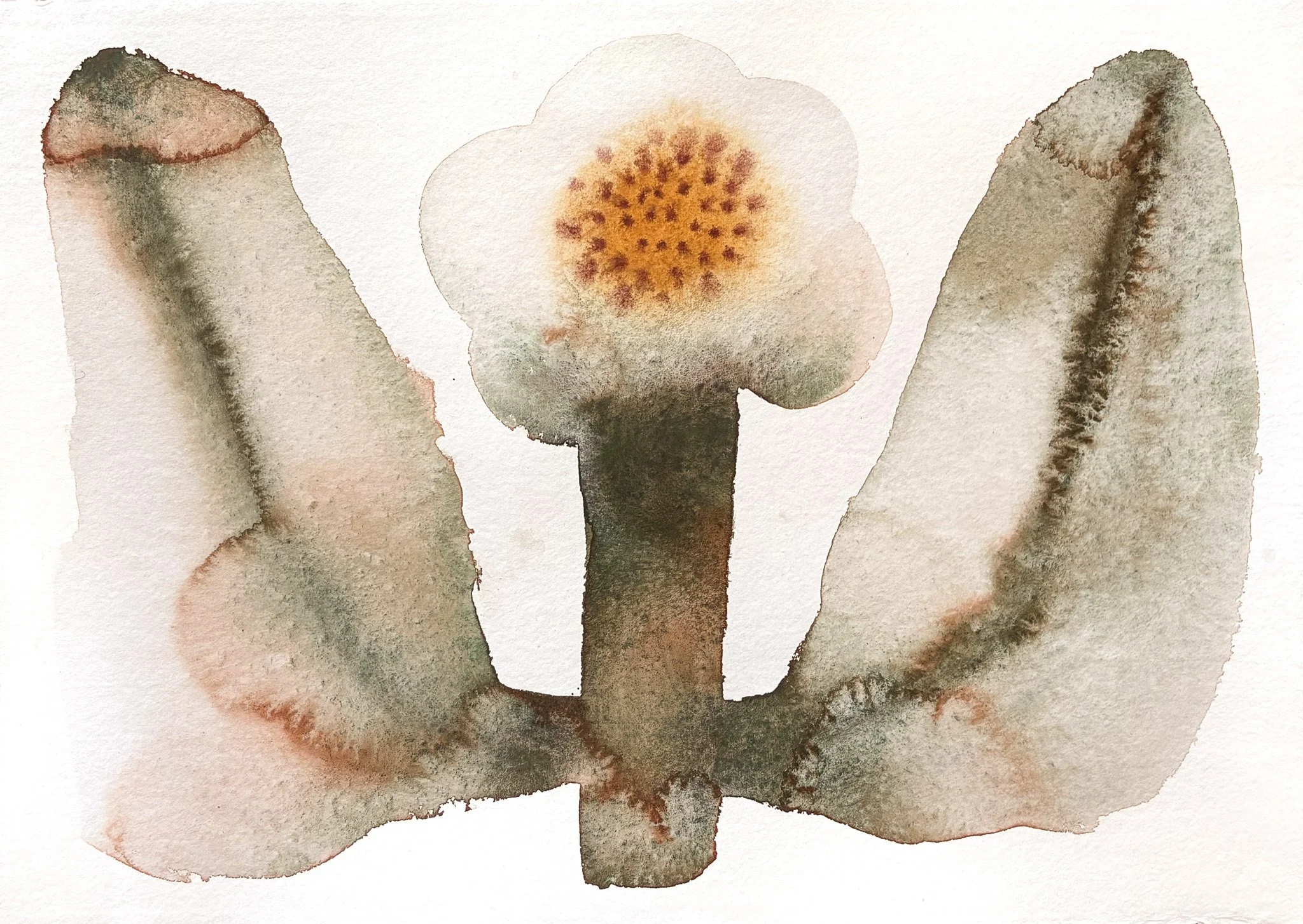 A watercolor painting of a flower with a central yellow-orange core and pale, translucent petals, flanked by two abstract, textured shapes.