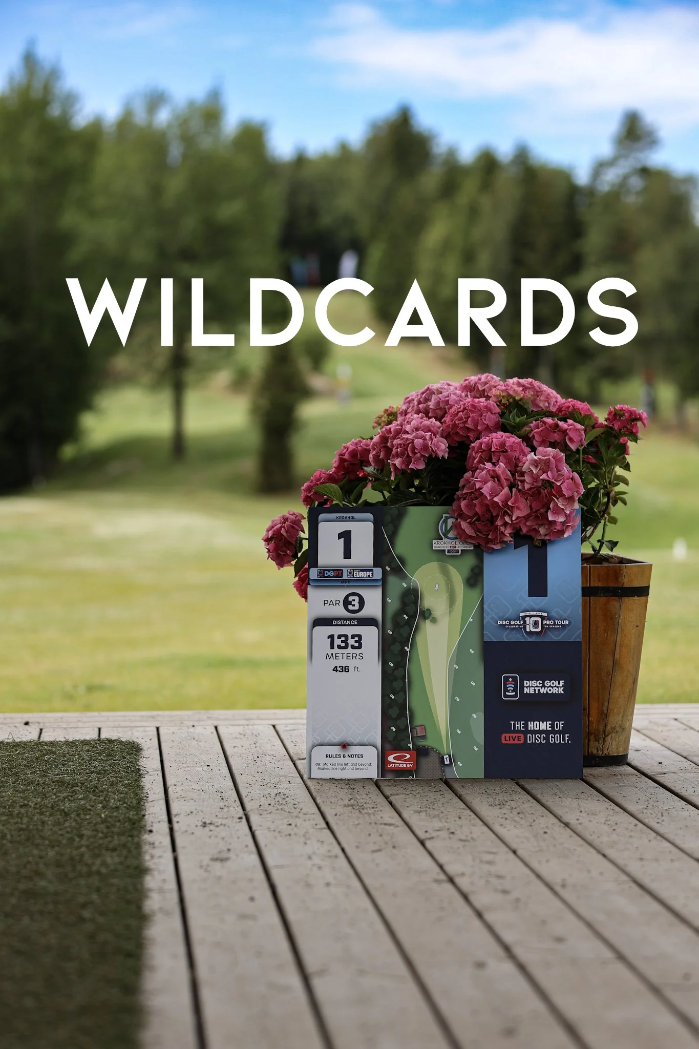 Wildcard-søknader