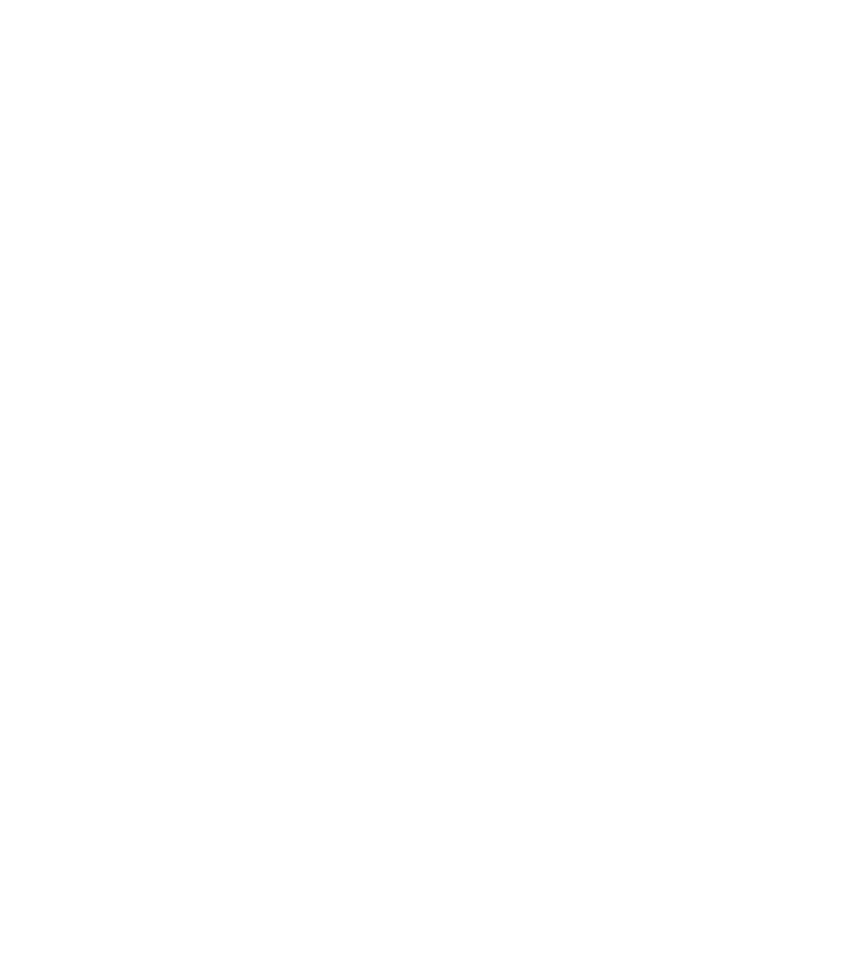 NM i Diskgolf 2026