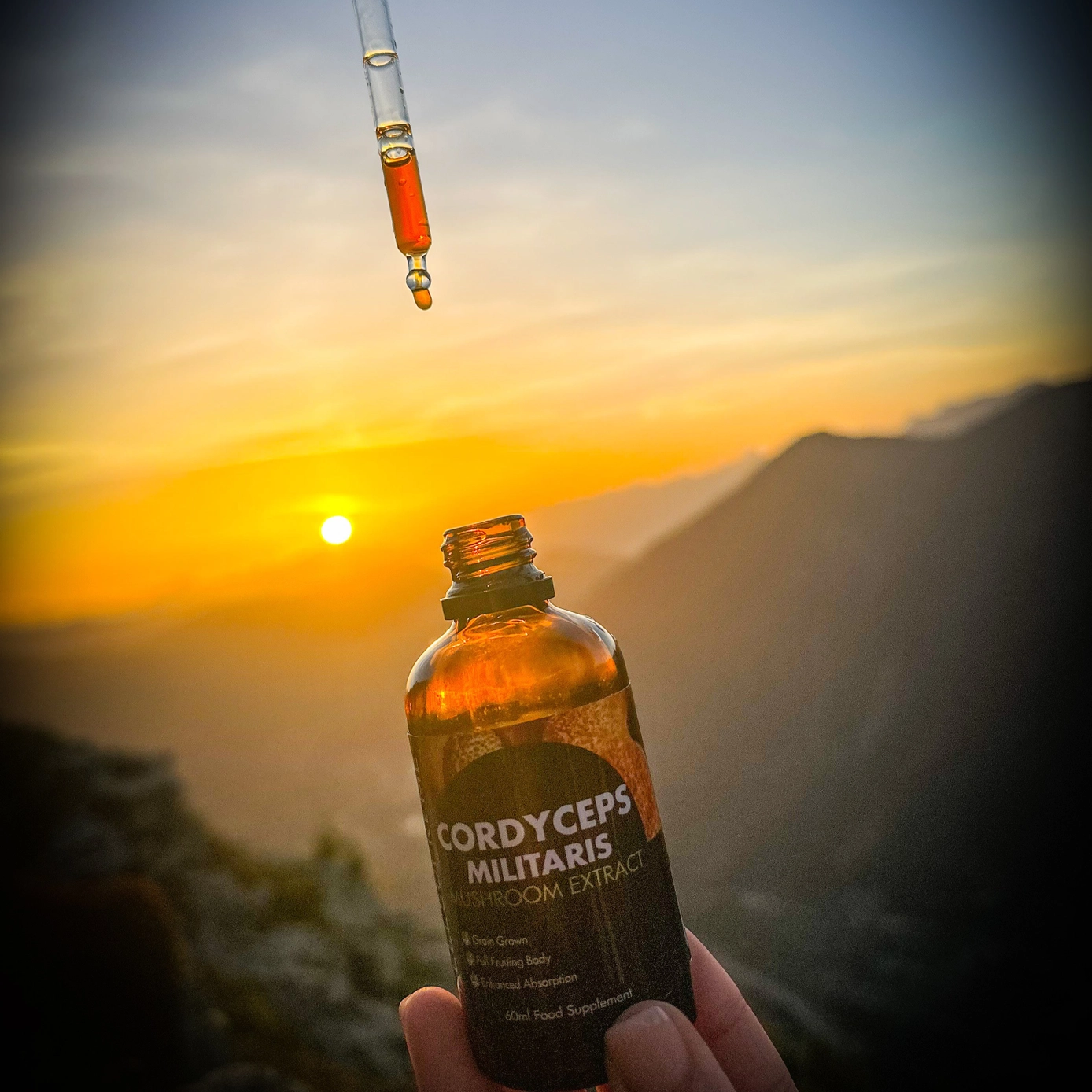 cordyceps drops sunset.png