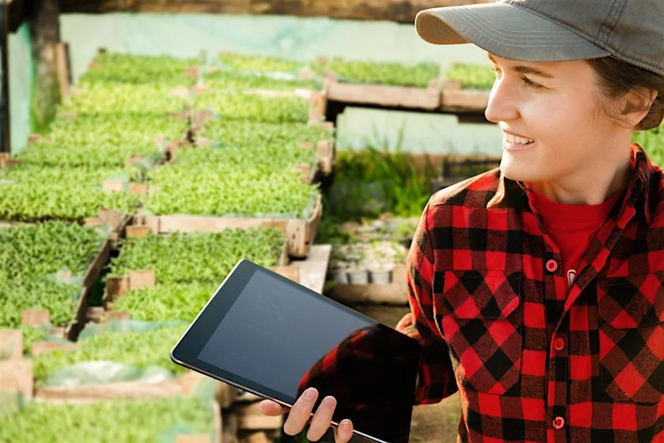 Is Whole Farm Revenue Protection or Micro Farm Program right for your farm?