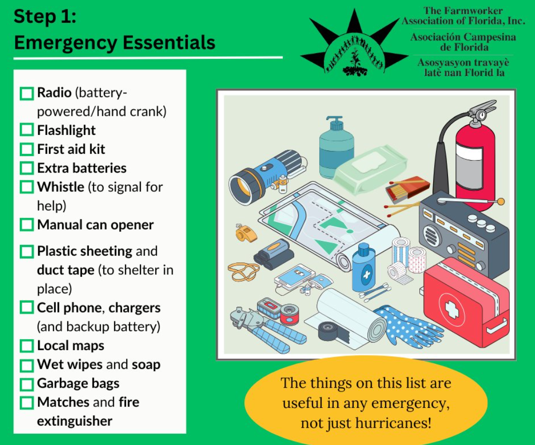 unnamed (1).png