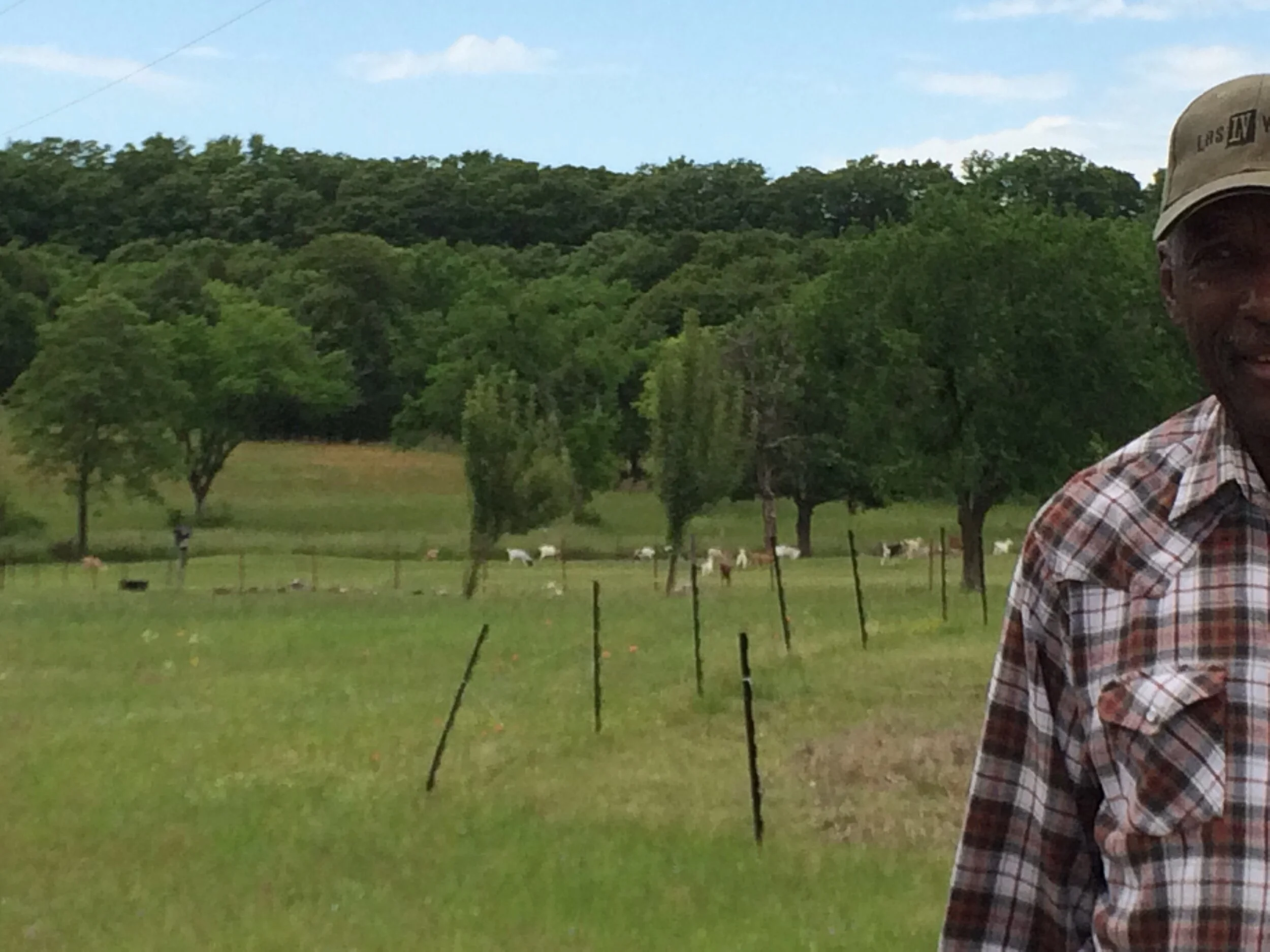 Organizations Deplore Temporary Restraining Order Stopping Relief for Black, Indigenous and People of Color Farmers and Ranchers