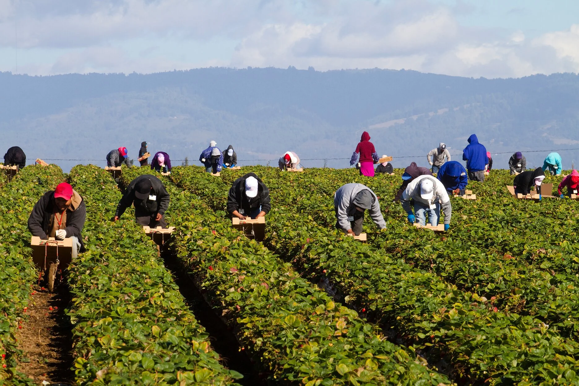 Coalition to Congress: U.S. Food, Farm, and Fish Systems Urge Congress to Provide Immediate Pandemic Relief