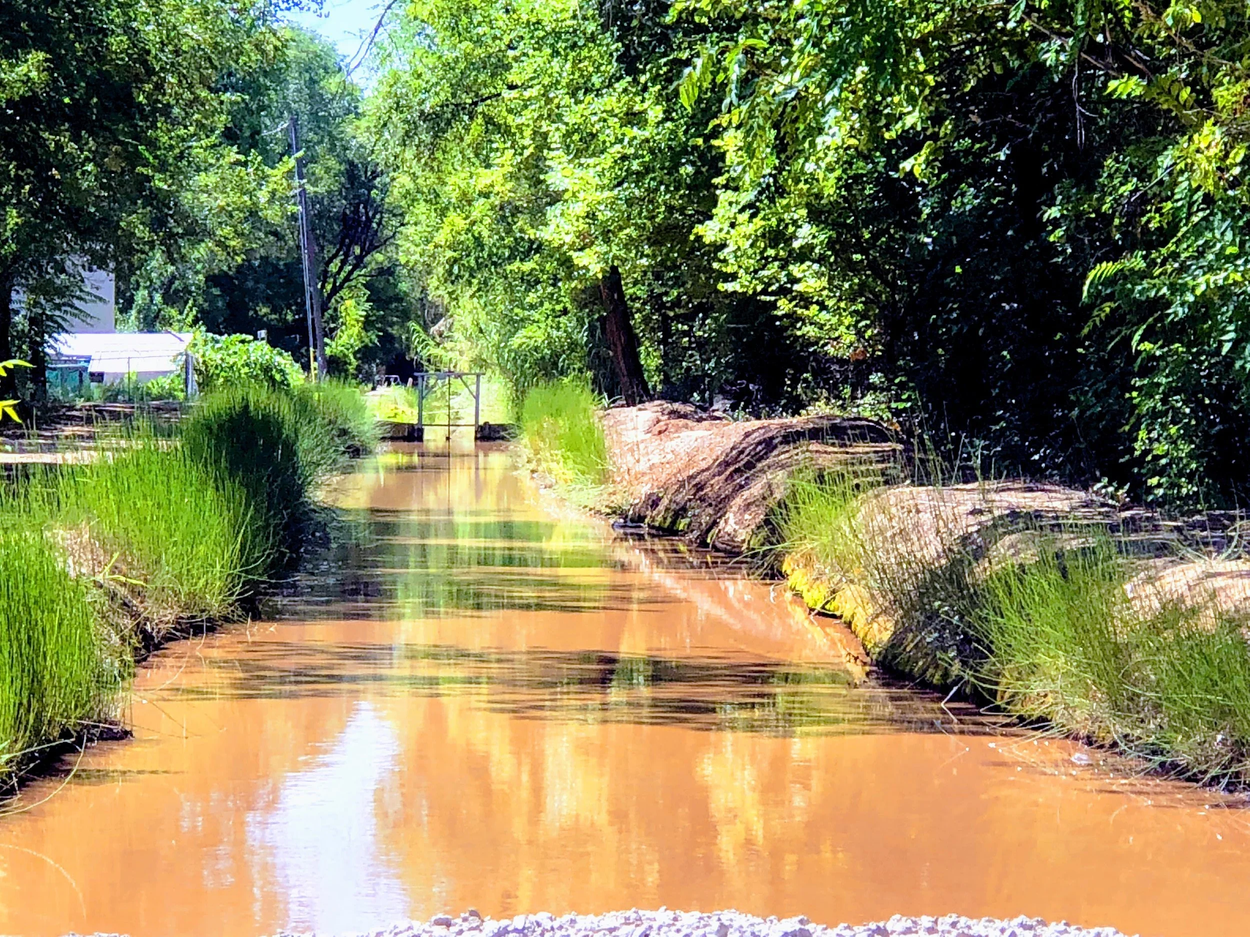 Rural Coalition Joins Latinx Organizations in Denouncing Administration’s Decision to Dismantle Clean Water Rule