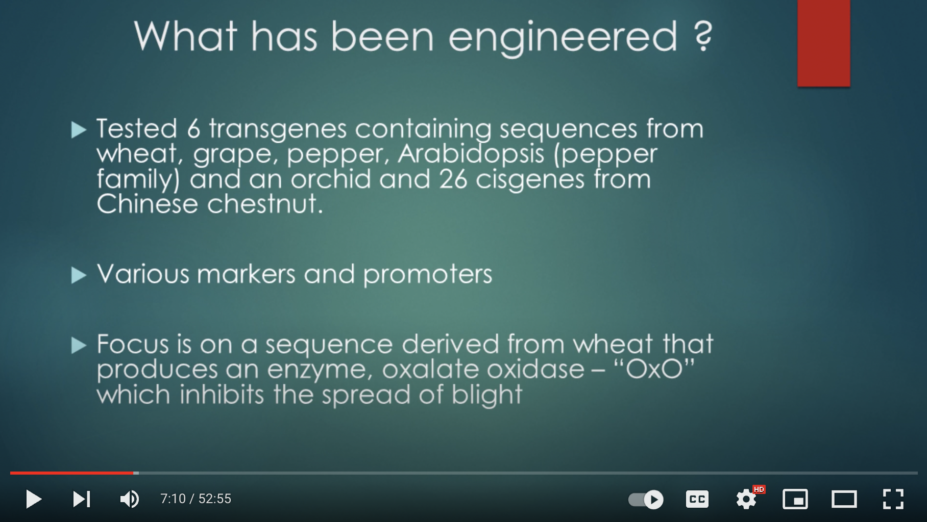 Webinar: Who is Behind the Genetically Engineered American Chestnut?
