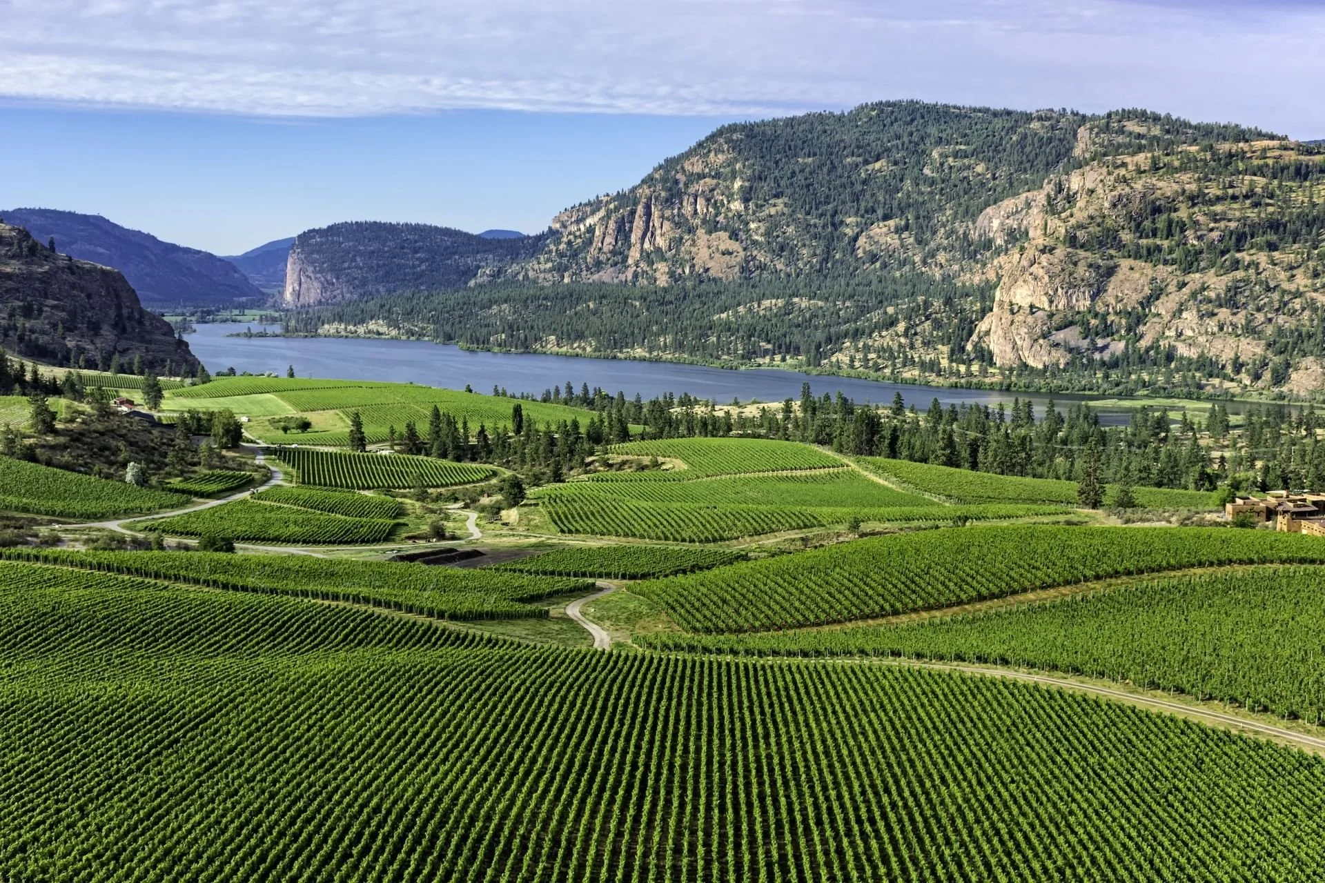 Looking for Movers in Oliver, BC? Here’s What to Know Before You Book