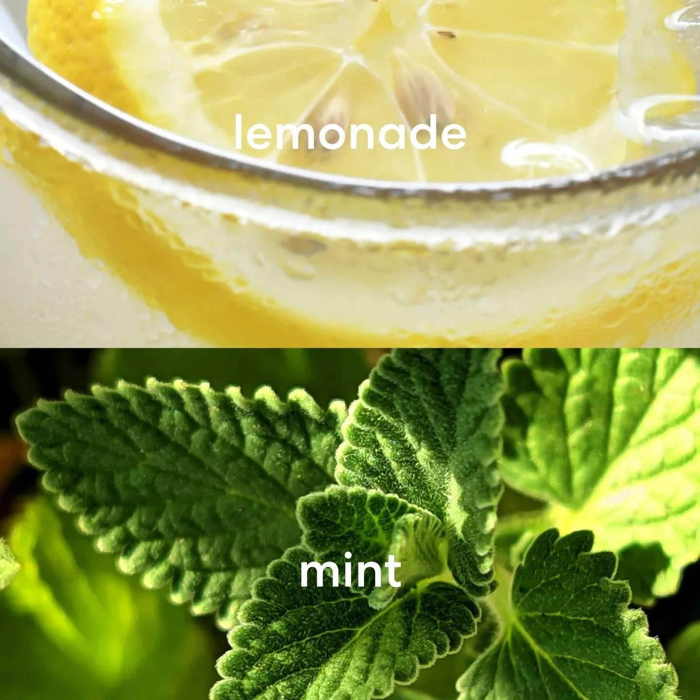 b3b2c12ce49756eea222d7742a51984d683ae73191b364c485c79b87b2ec29b5.jpeg