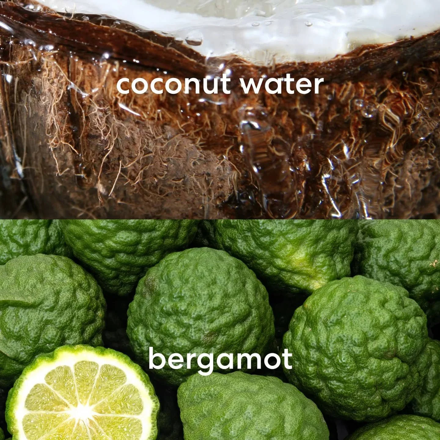 4c7af0dd47a47682543d644bc45157acfc782aeb53c9ba0227e8975bf2e4a09e.jpeg