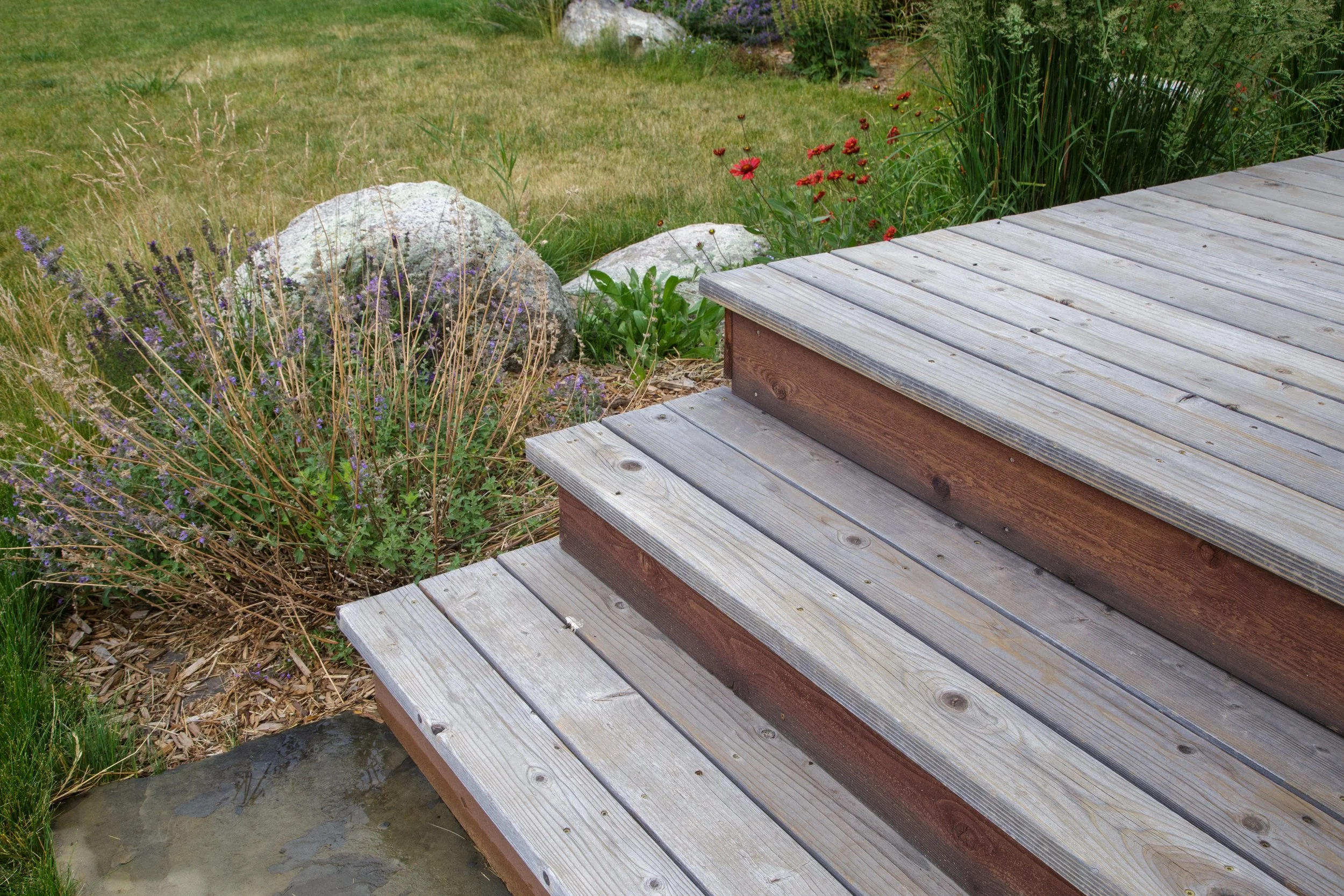 250731_220DeerPathLn_Stain_WildWestContracting_MaddiHohner-7.jpg