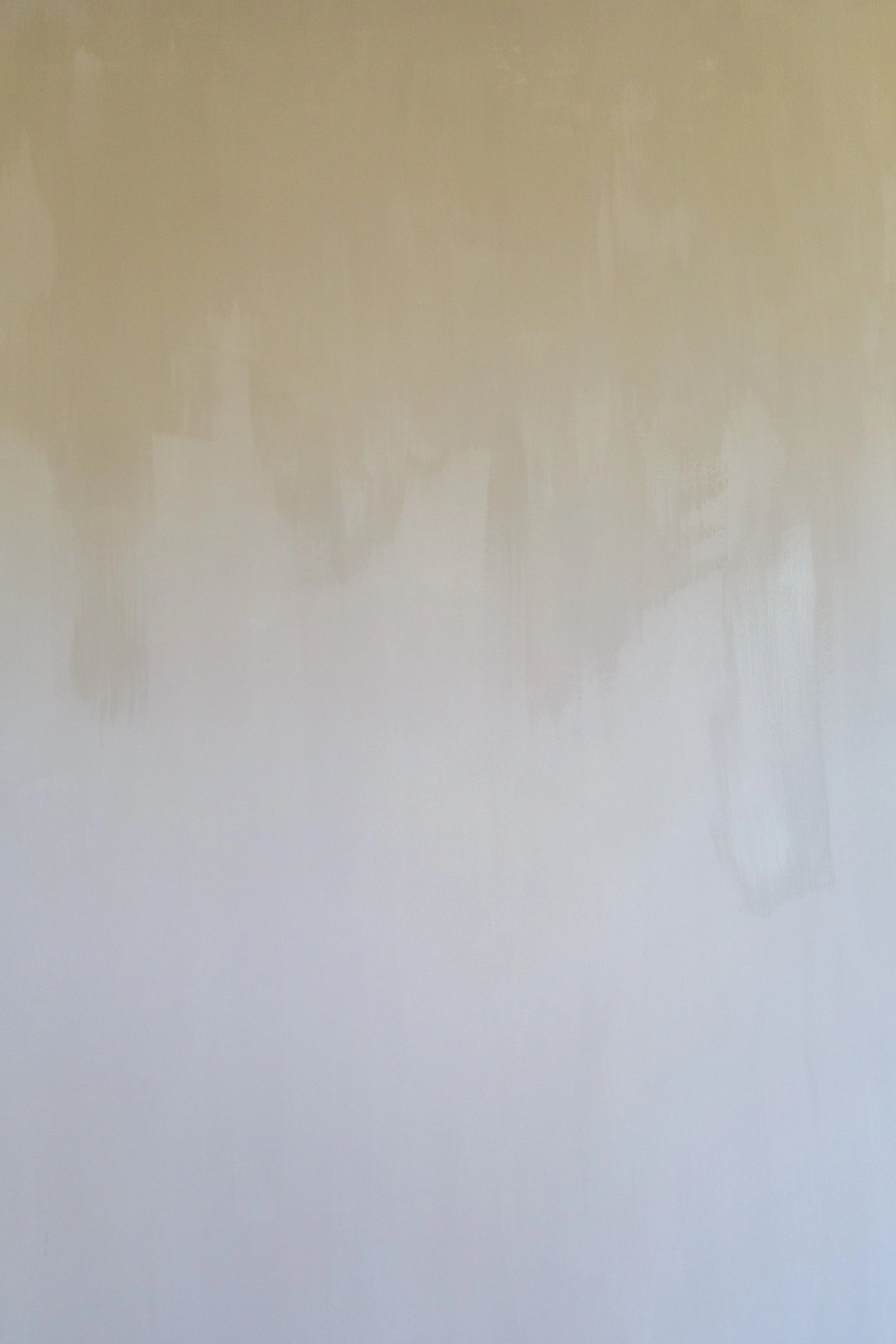 250731_OverlookLot12_Limewash_WildWestContracting_MaddiHohner-7.jpg