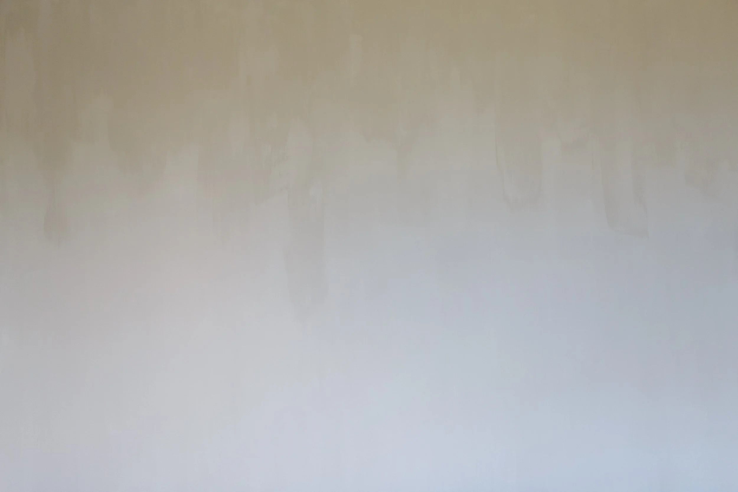 250731_OverlookLot12_Limewash_WildWestContracting_MaddiHohner-8.jpg