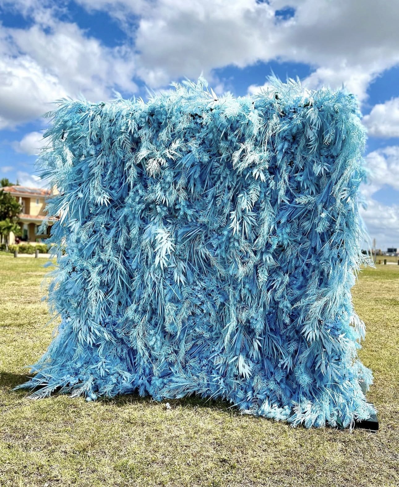 F57F62F5-9C7F-4ACF-B63F-E492893A3675.jpeg