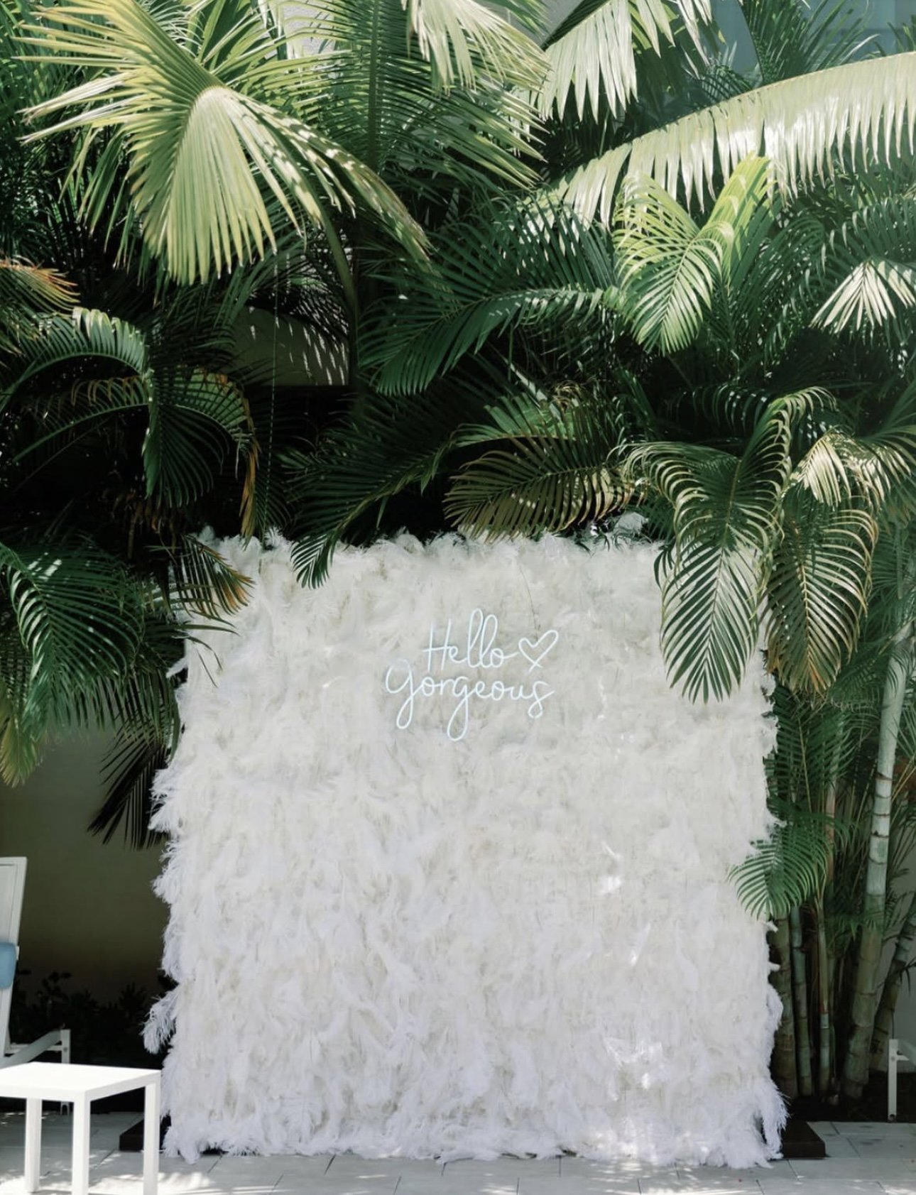 White Feather Wall - 071