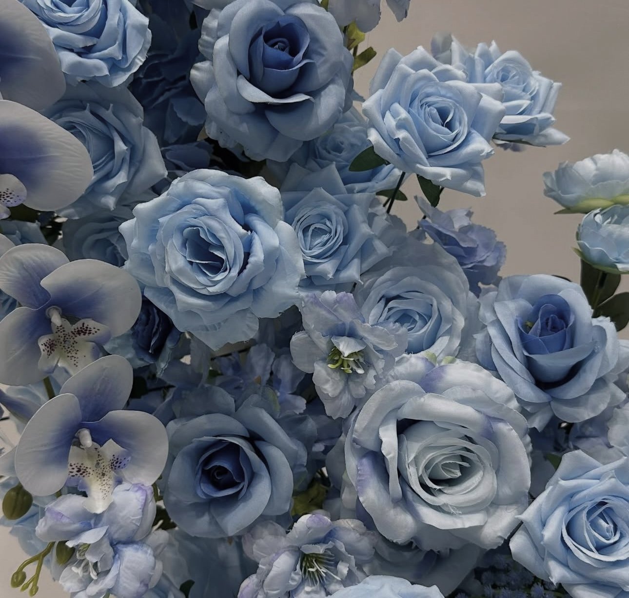 11EDE73E-39DE-4CF7-B8D7-5D3B7206D918.jpeg