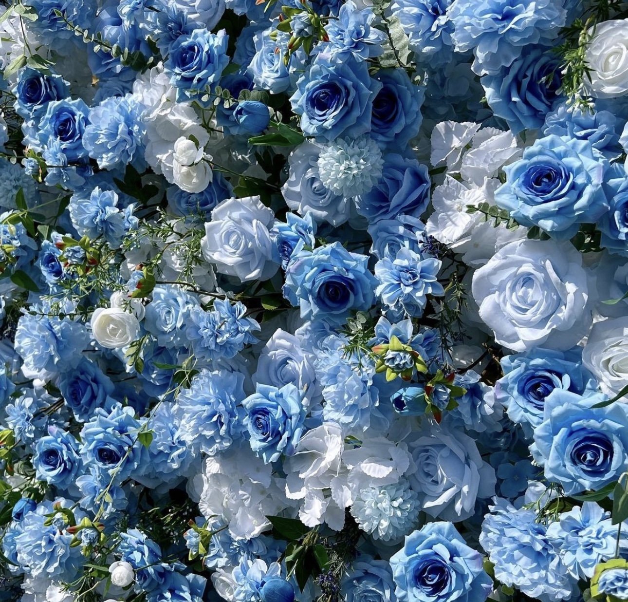 E8BF74A7-EB27-4024-9158-D2780D20C246.jpeg