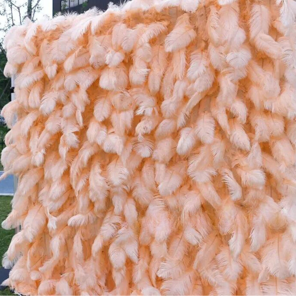 Peach Feather Wall - 076