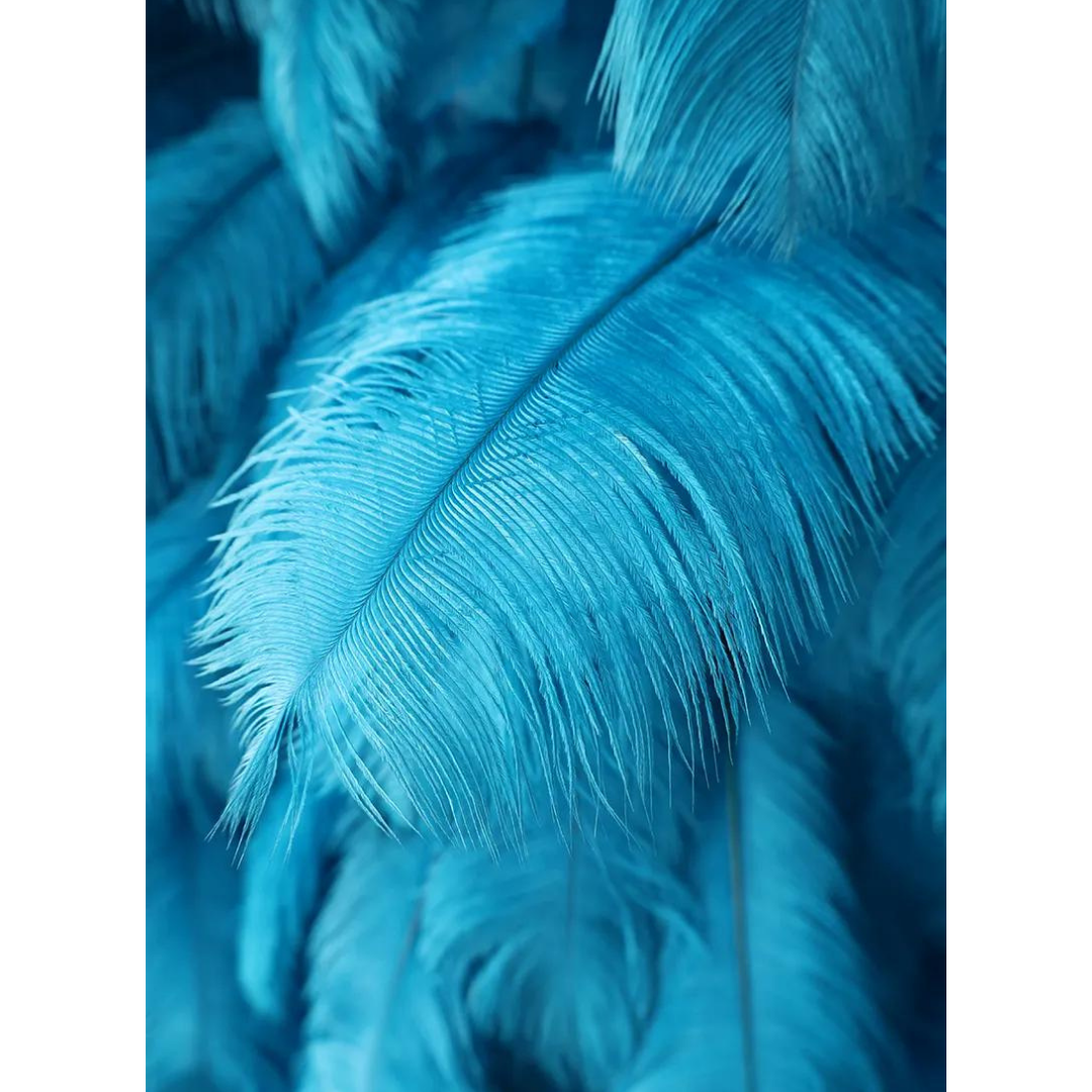 48_4135a9b0-1211-46ab-b0b8-dd4866b76518.png