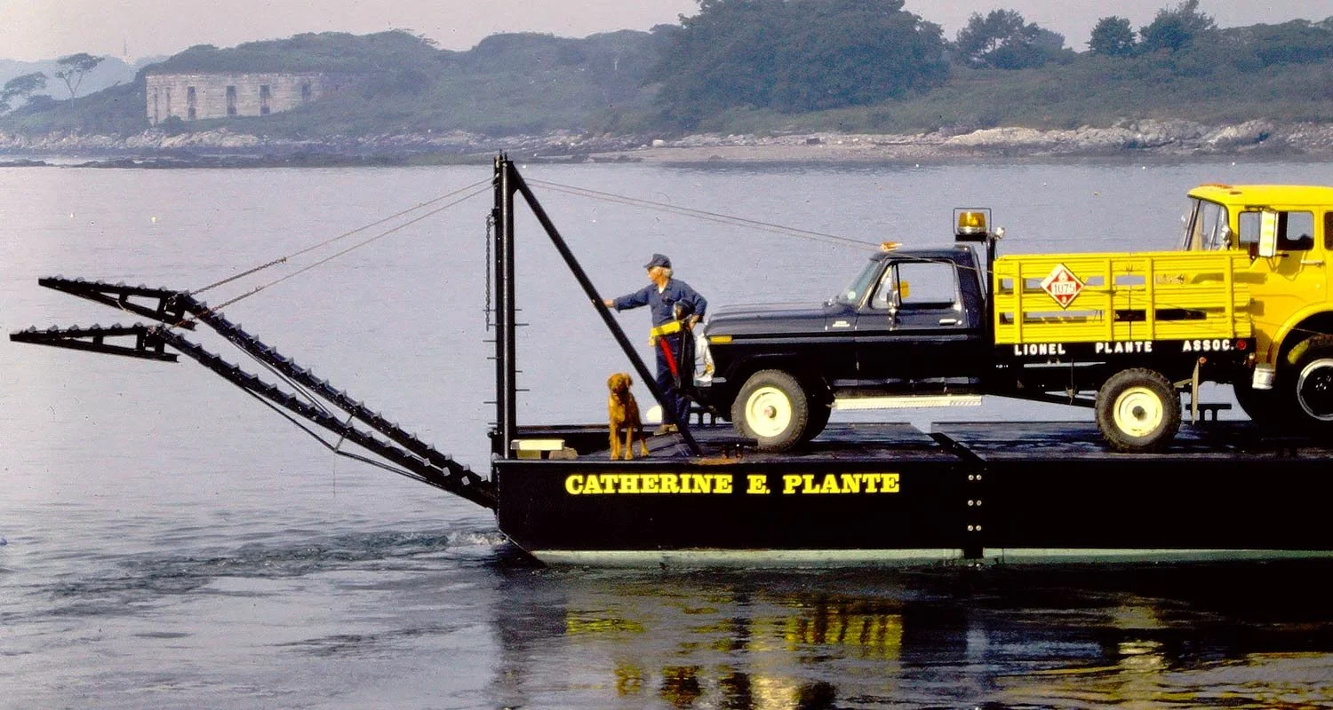  Sed posuere consectetur est at lobortis. 