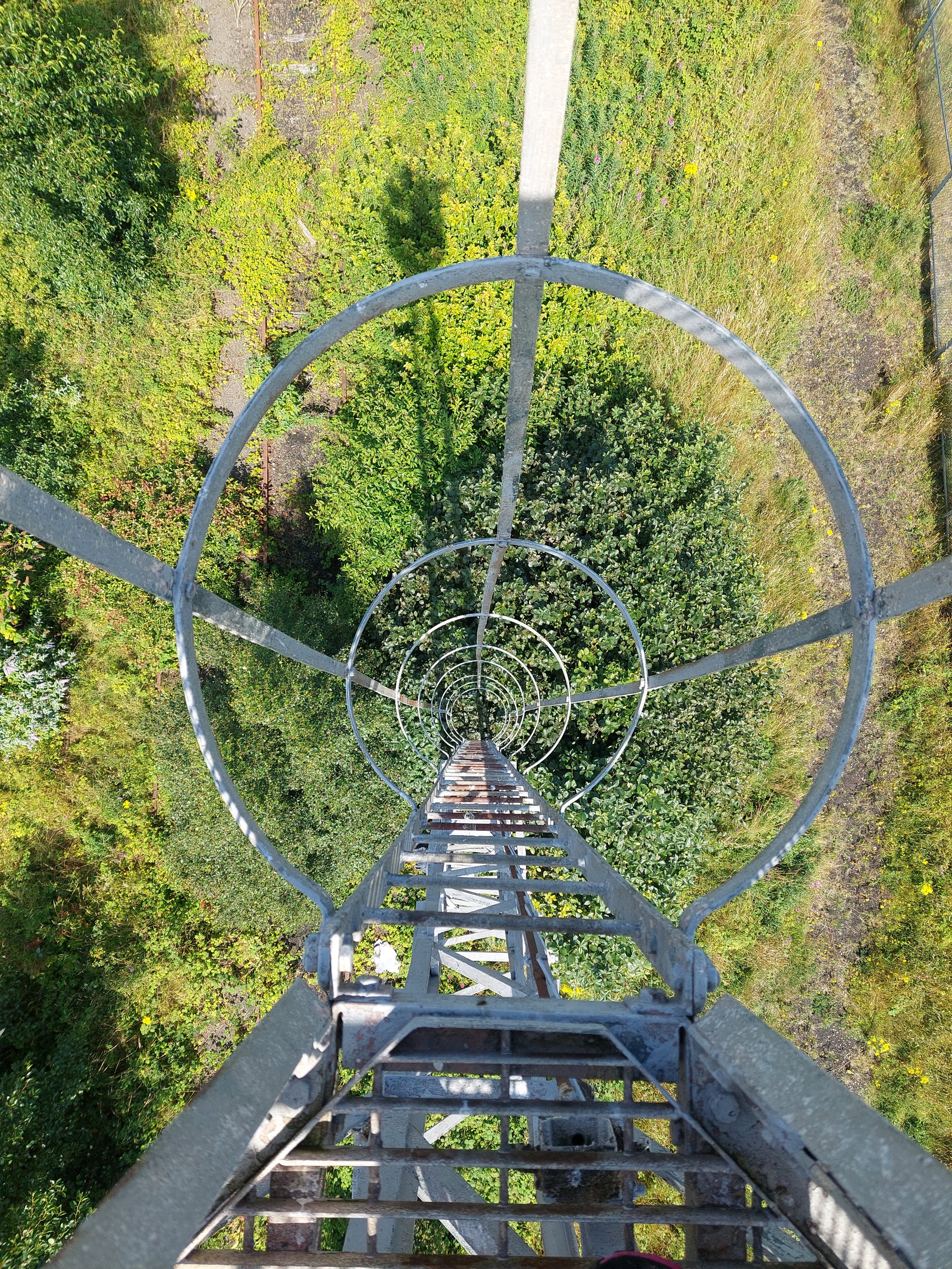 4f7c8716-d27a-40dd-98df-654c33158e81_4624x3468.jpeg