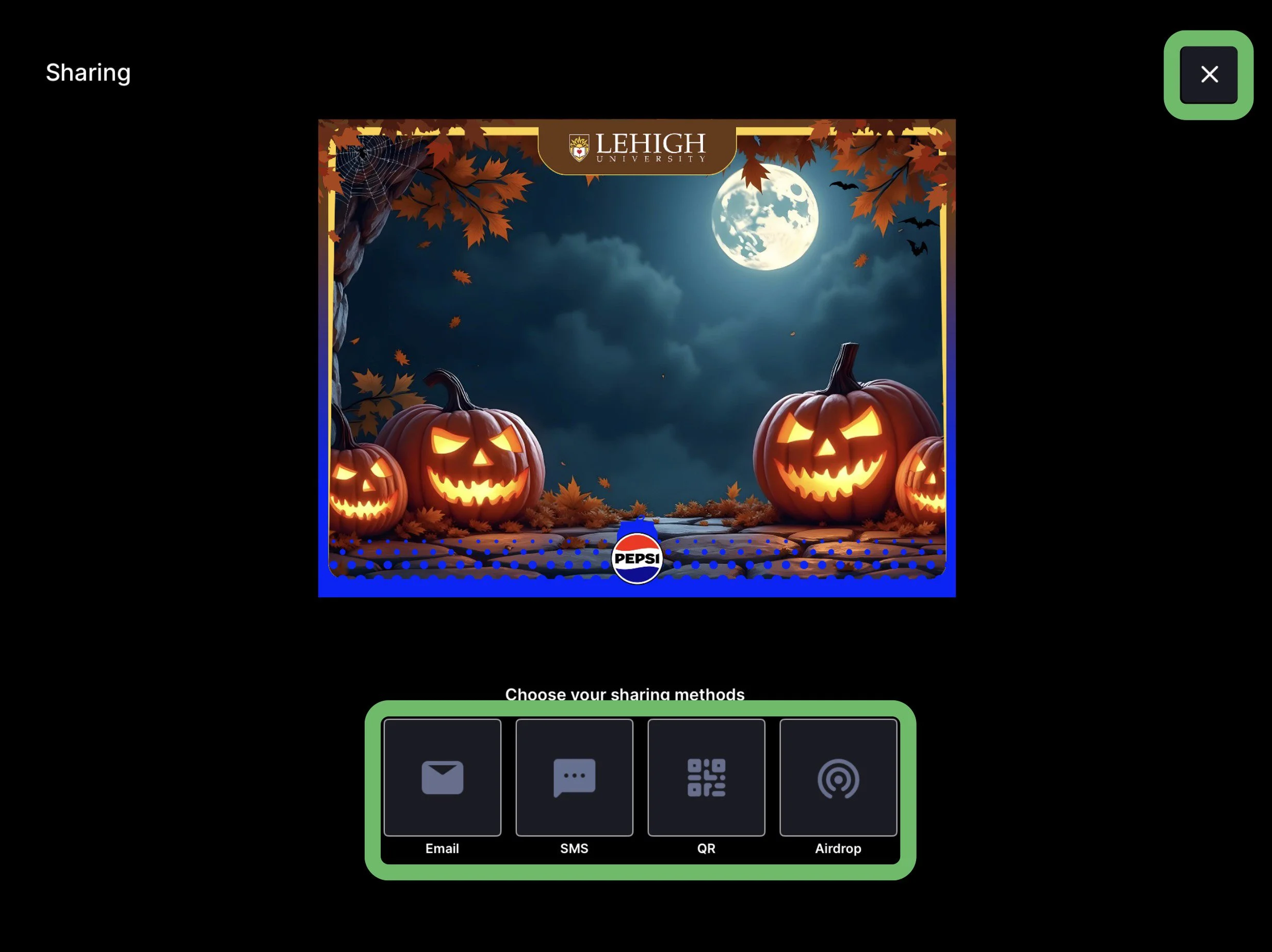 Greenscreen INS-3l.jpg