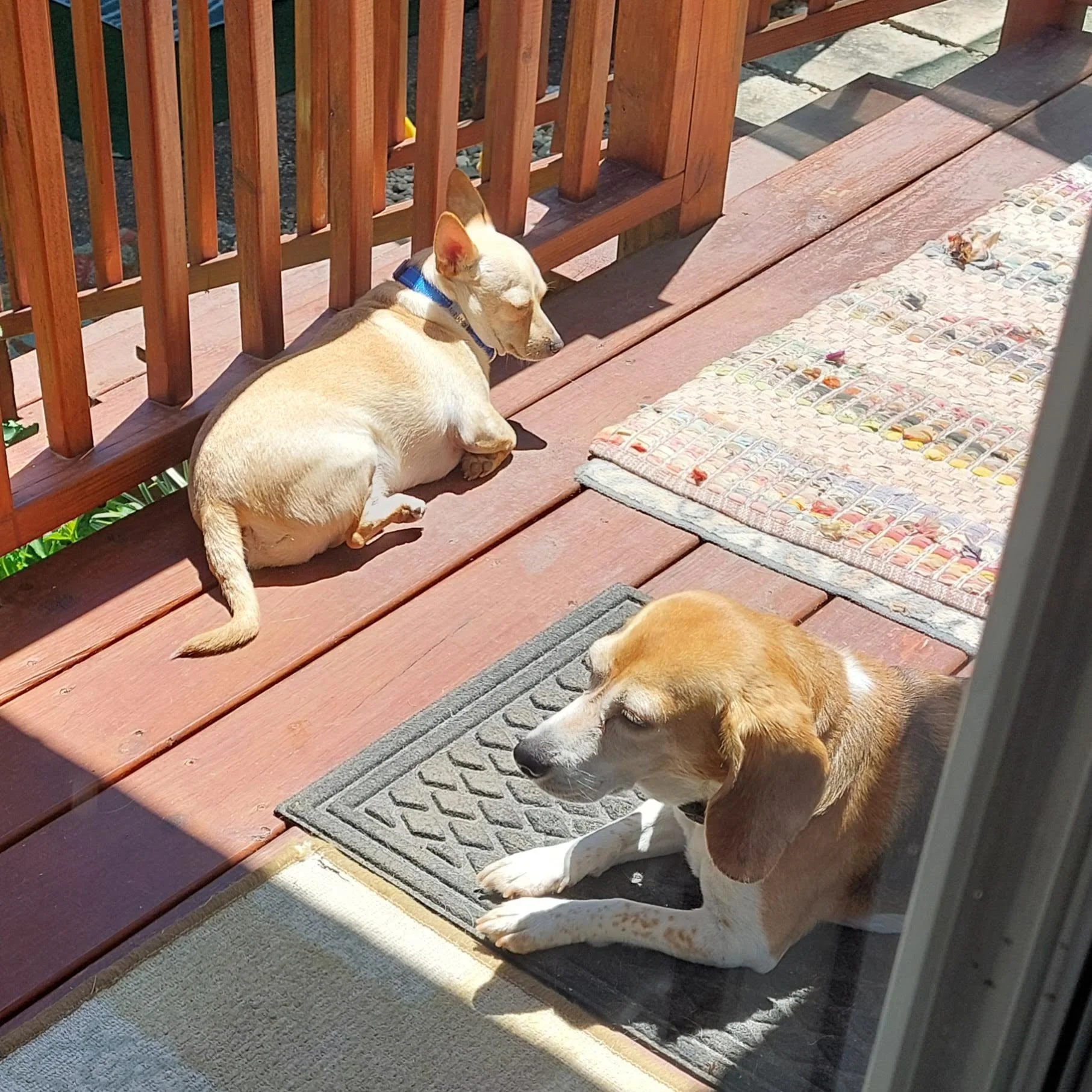 BOB Website - Stew and E in sun.jpg