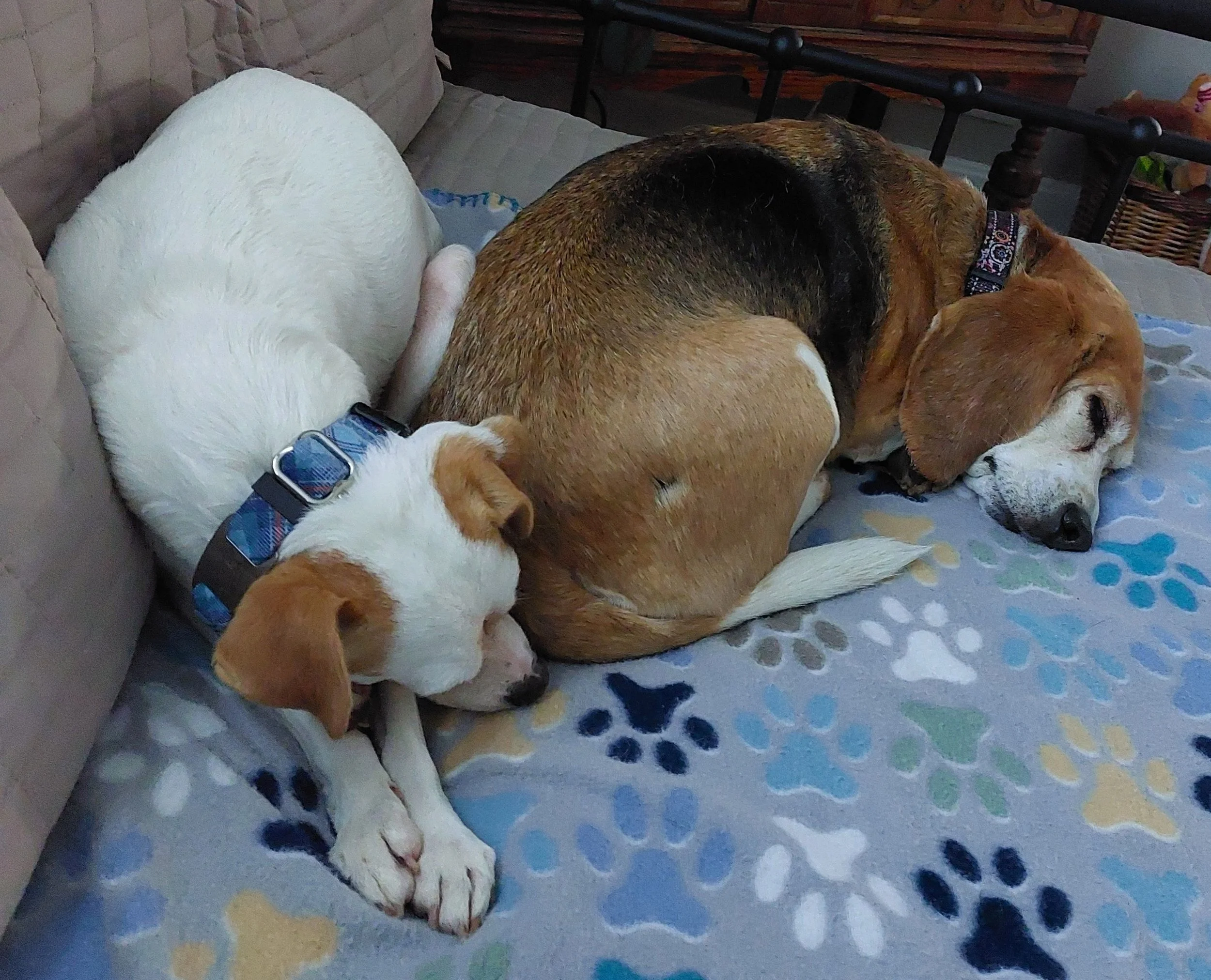 BOB Website - Con and E on daybed.jpg