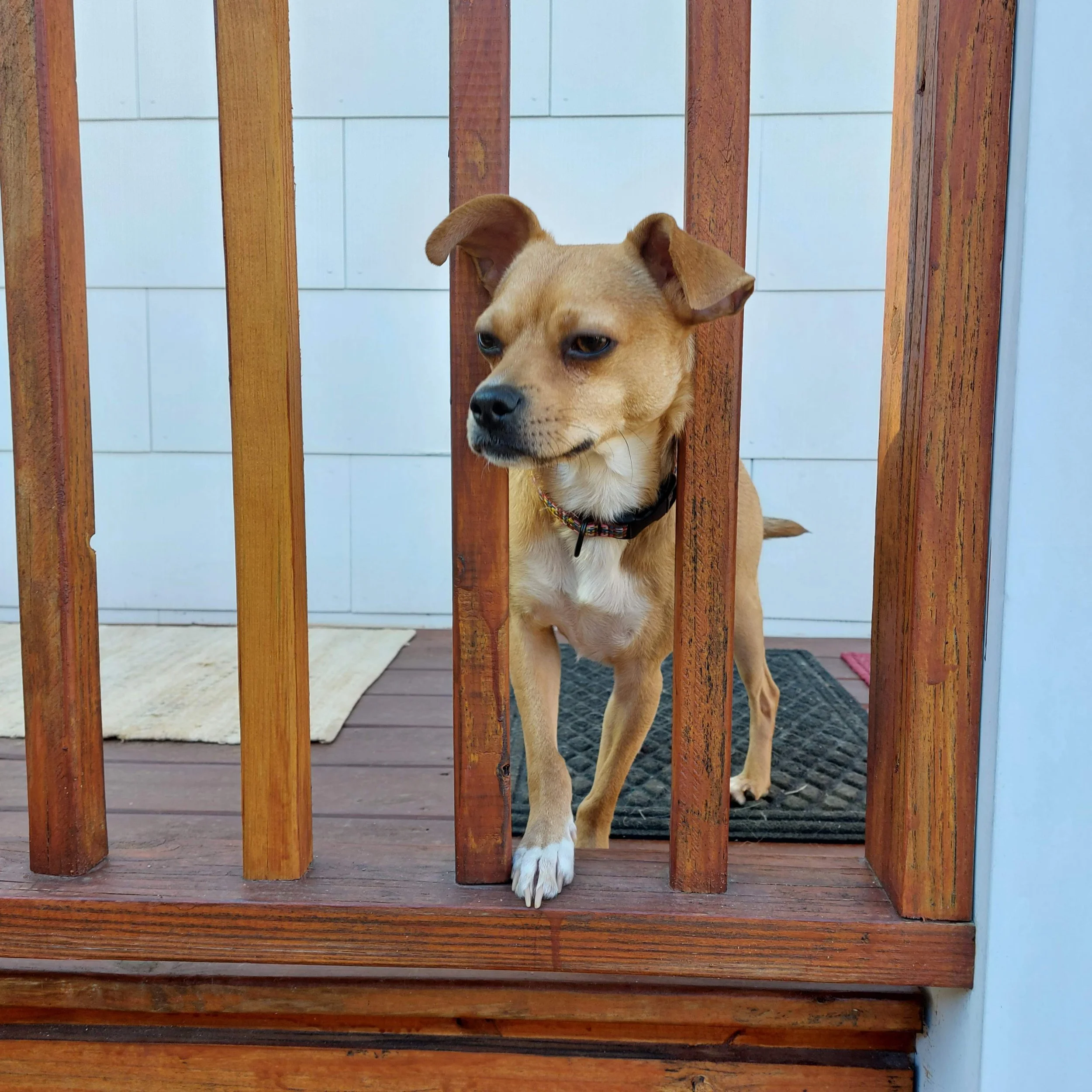 BOB Web Dallas porch.jpg