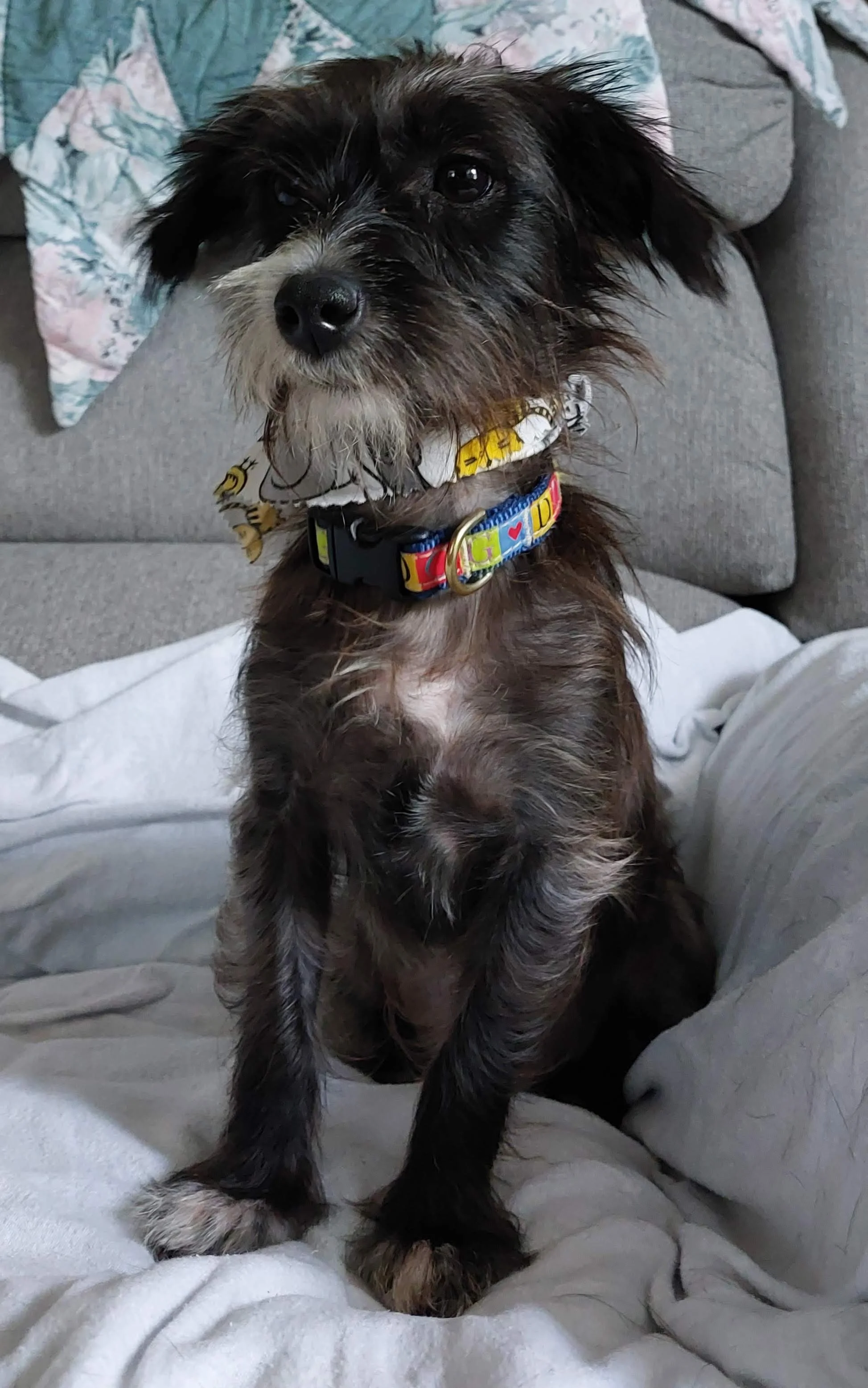 BOB Web Mallorie ii.jpg