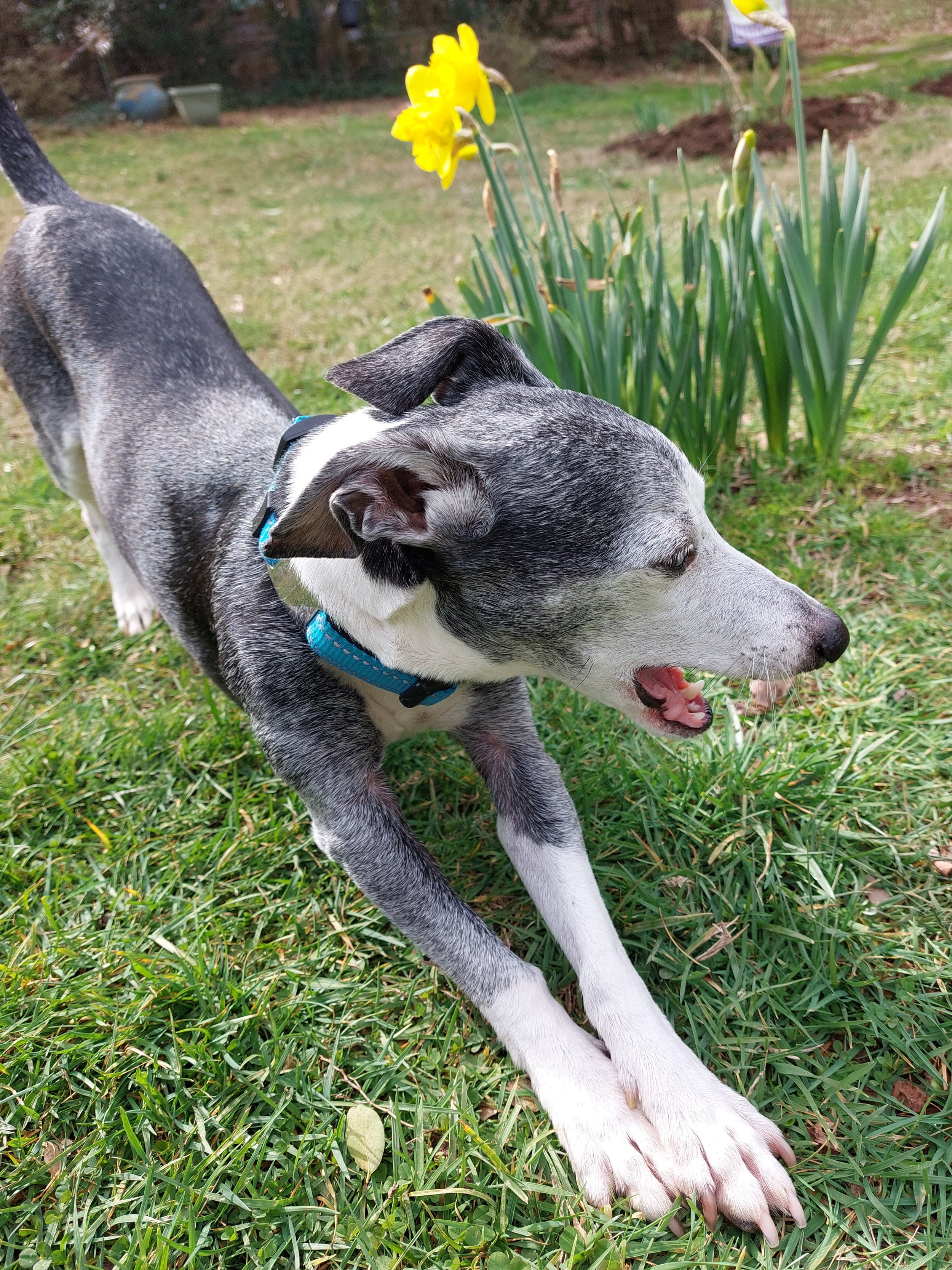 BOB Website - Pabs outside stretch.jpg