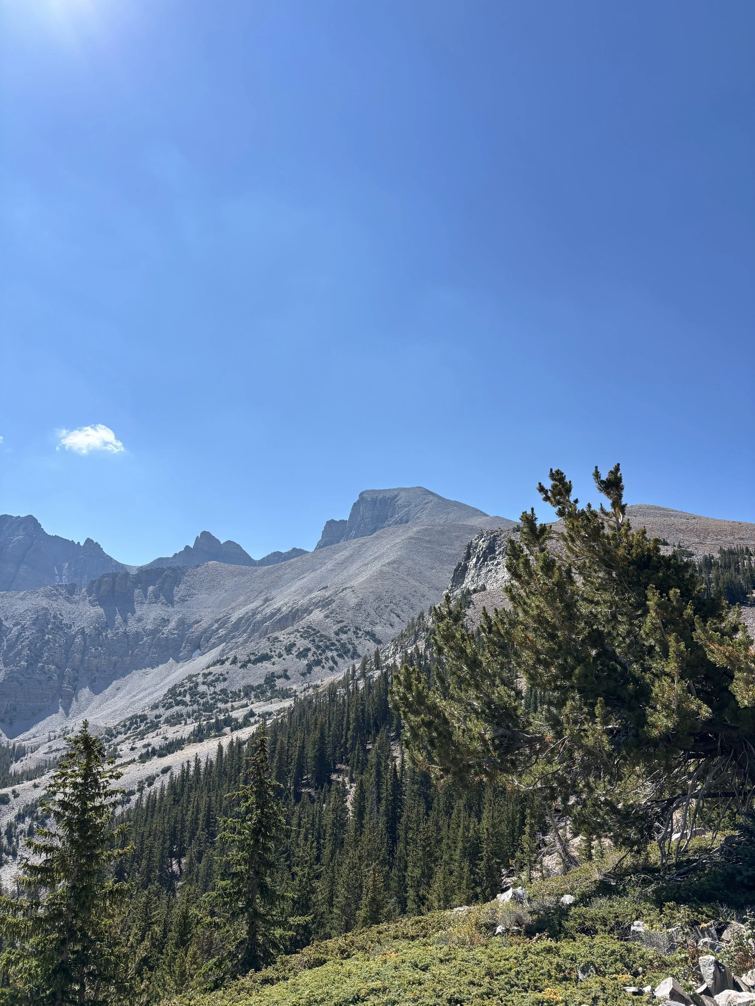 IMG_1283.jpeg