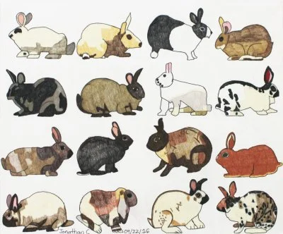 Jonathan Campos  / Bunnies / 2016