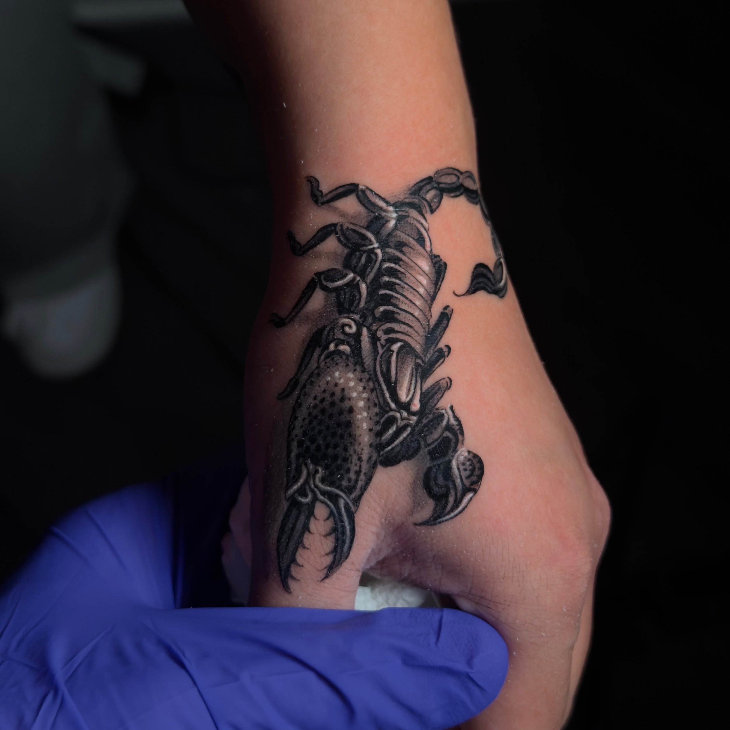 Scorpion