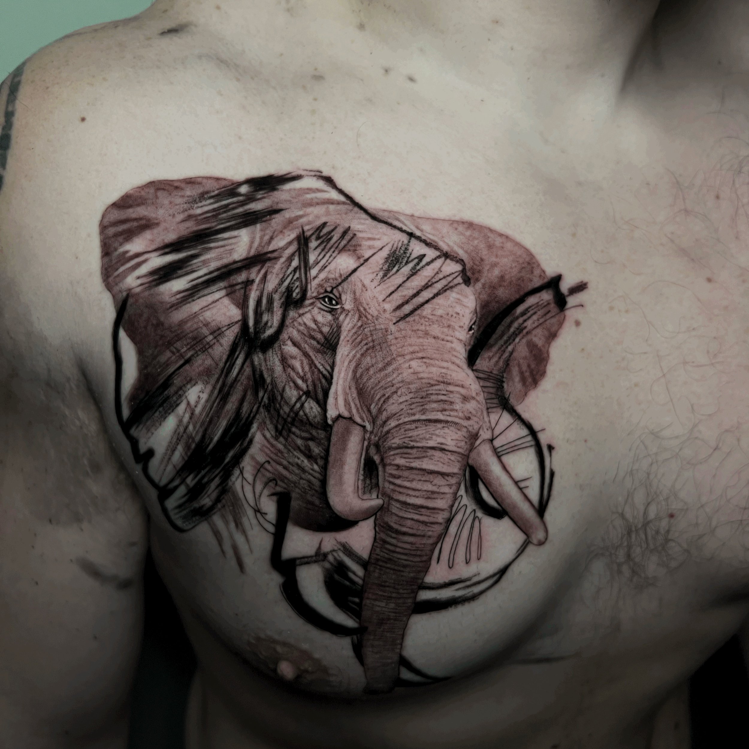 Modern Elephant