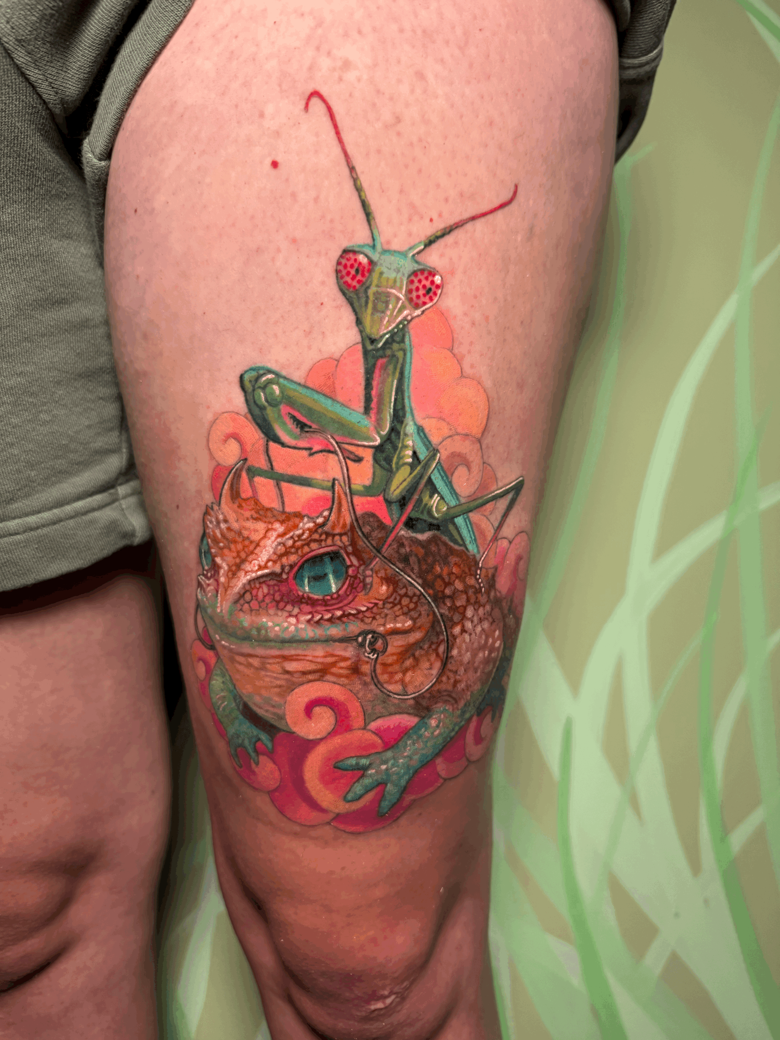 Mantis Riding Toad