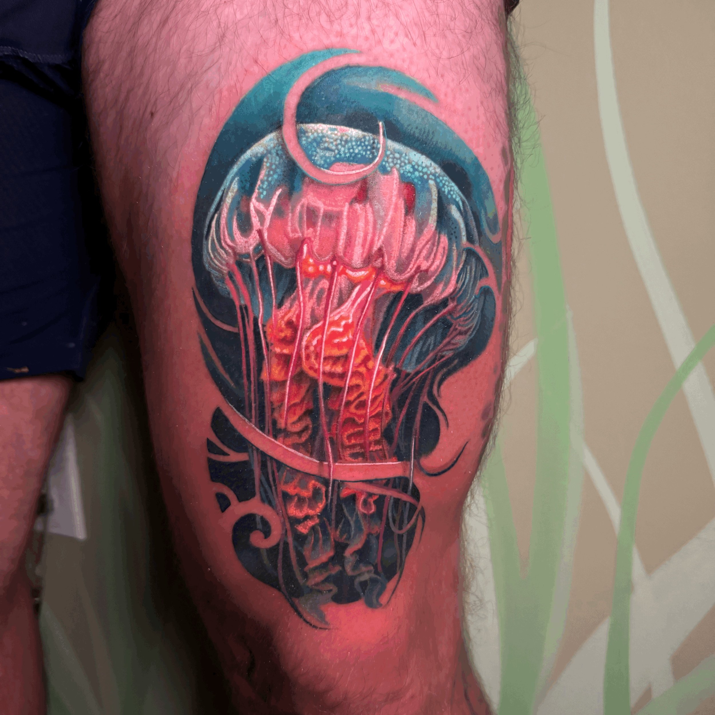 Jellyfish