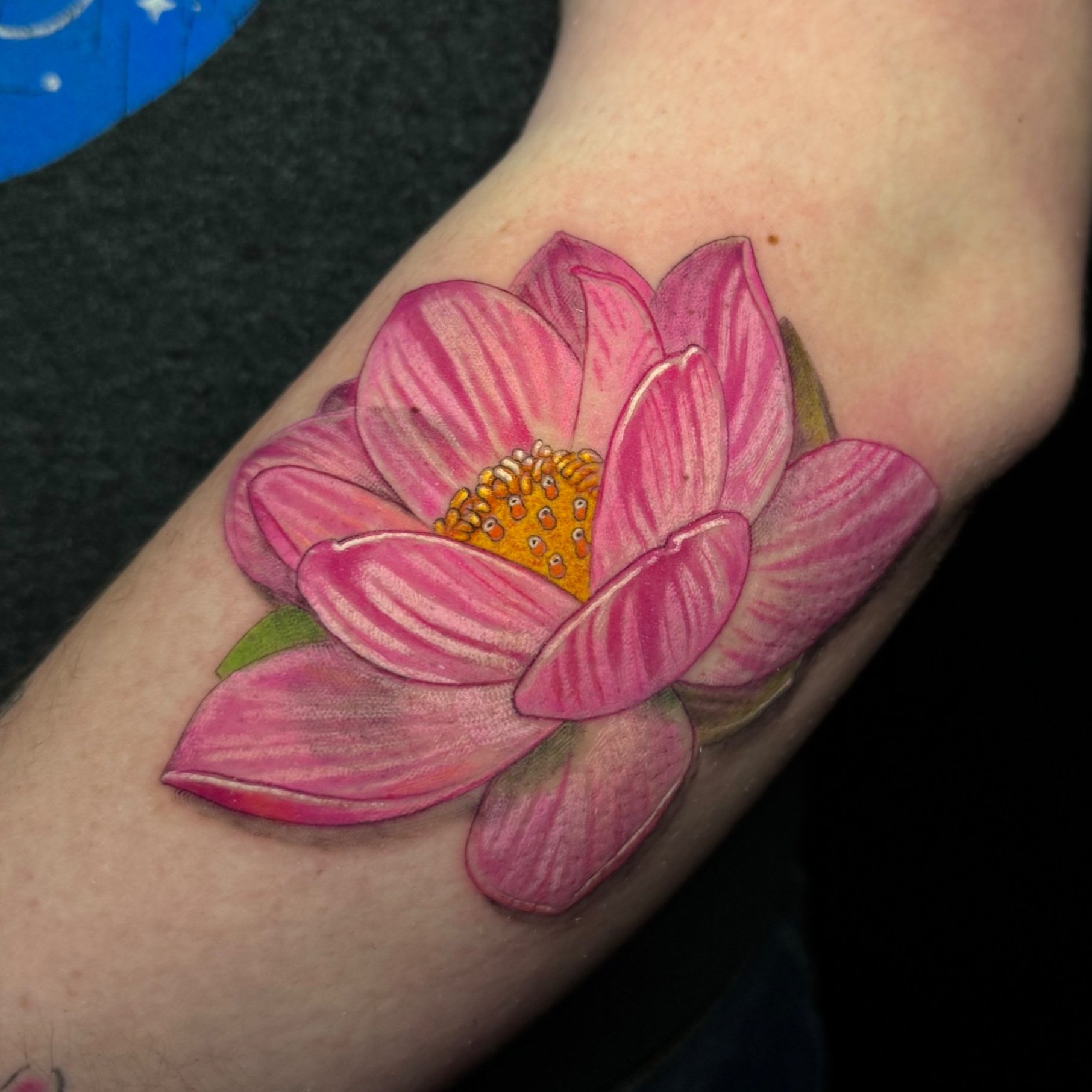 Lotus