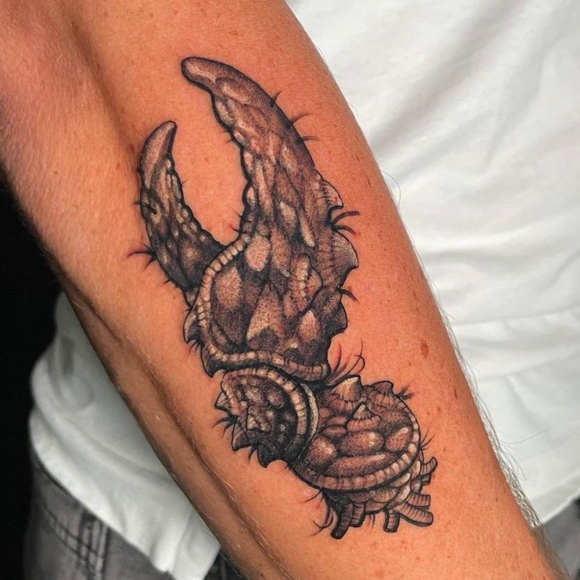 Crab claw